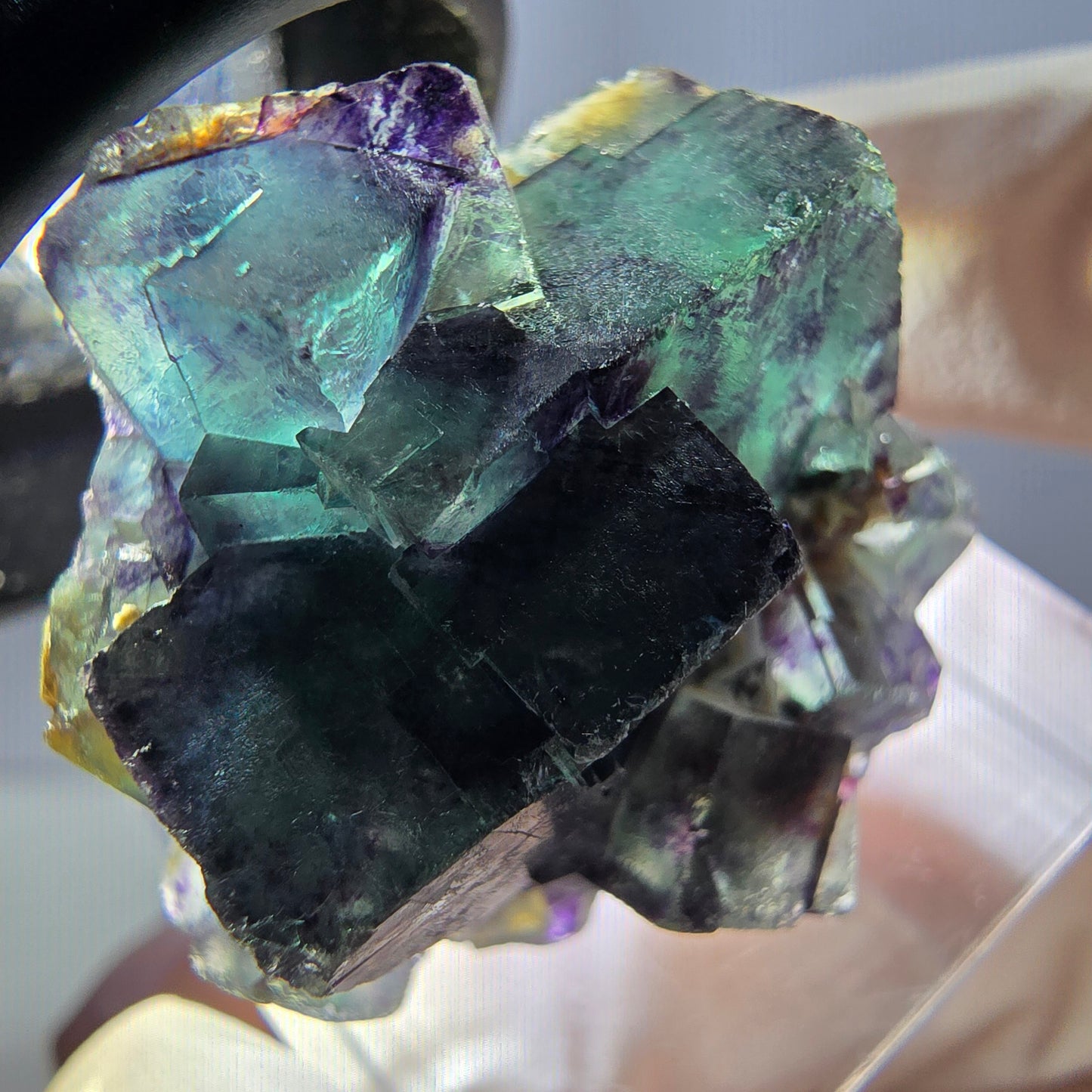 Rare spécimen de cube de fluorite fantôme, vert-violet, Okorusu, Namibie, 28 x 26 x 16 mm
