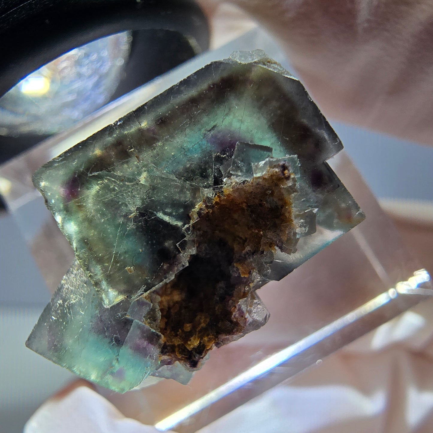 Rare spécimen de cube de fluorite fantôme, vert-violet, Okorusu, Namibie, 22 x 14 x 13 mm