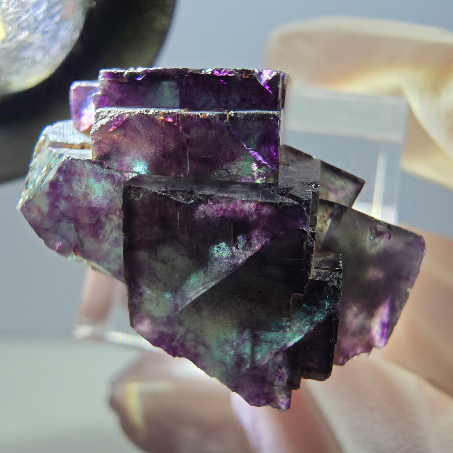 Spécimen rare de cube de fluorite fantôme, vert-violet, Okorusu, Namibie, 28 x 22 x 16 mm