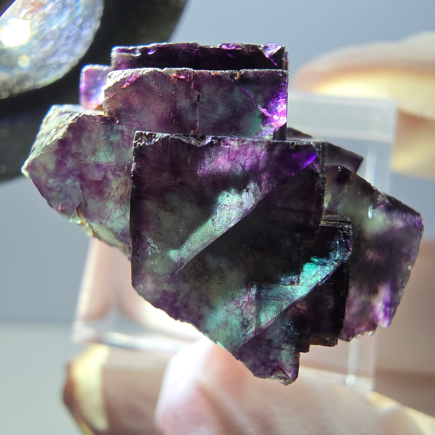 Spécimen rare de cube de fluorite fantôme, vert-violet, Okorusu, Namibie, 28 x 22 x 16 mm