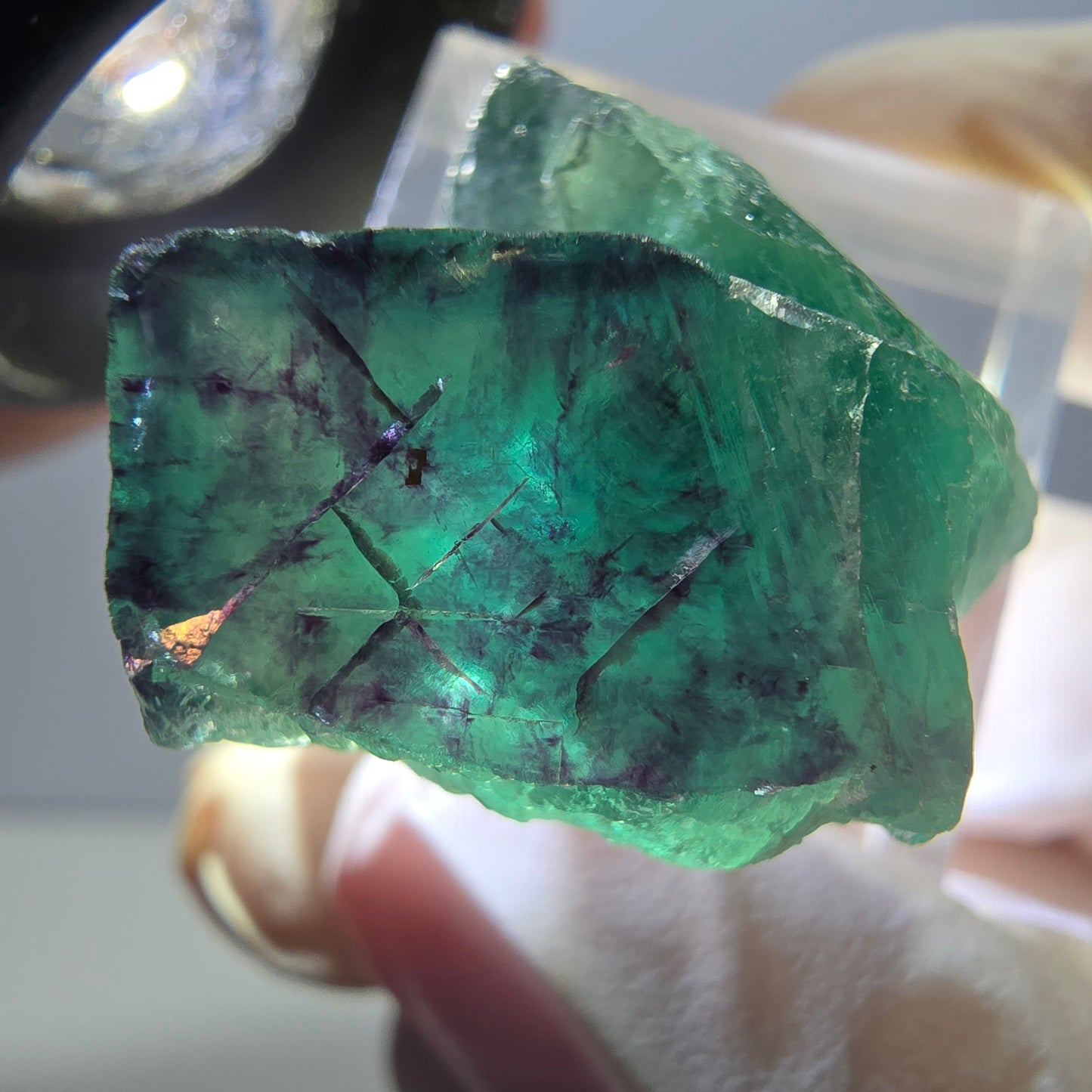 Spécimen rare de cube de fluorite fantôme, vert-violet, Okorusu, Namibie, 29 x 20 x 16 mm