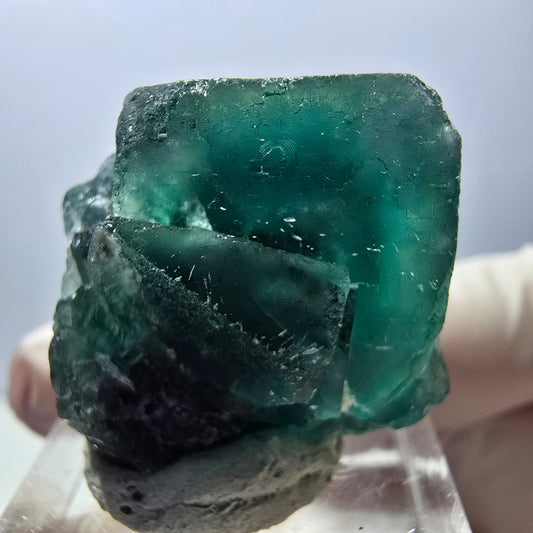 Seltene Phantom Fluorit Würfel Stufe, grün lila Okorusu, Namibia 27*25*17mm
