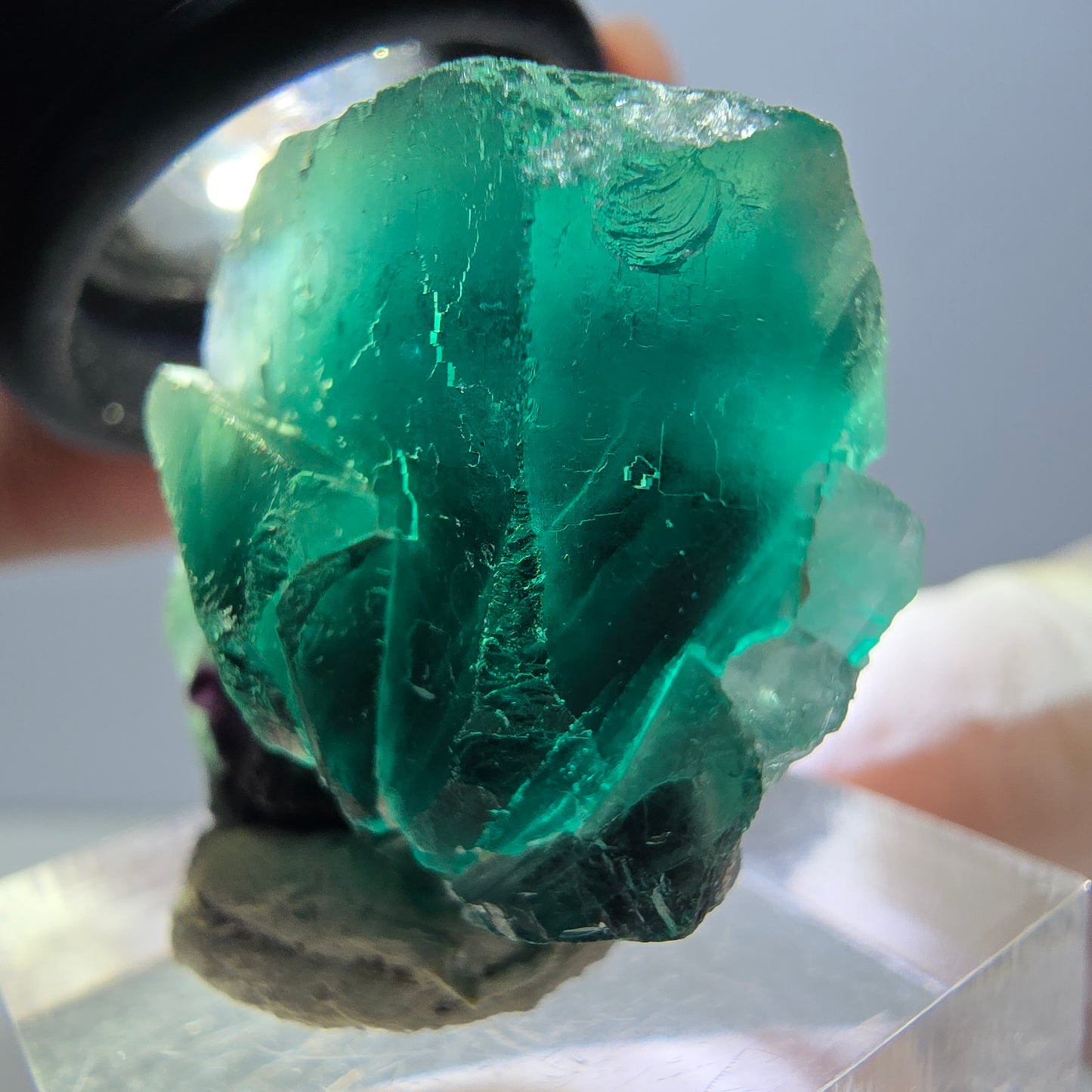 Spécimen rare de cube de fluorite fantôme, vert-violet, Okorusu, Namibie, 27 x 25 x 17 mm