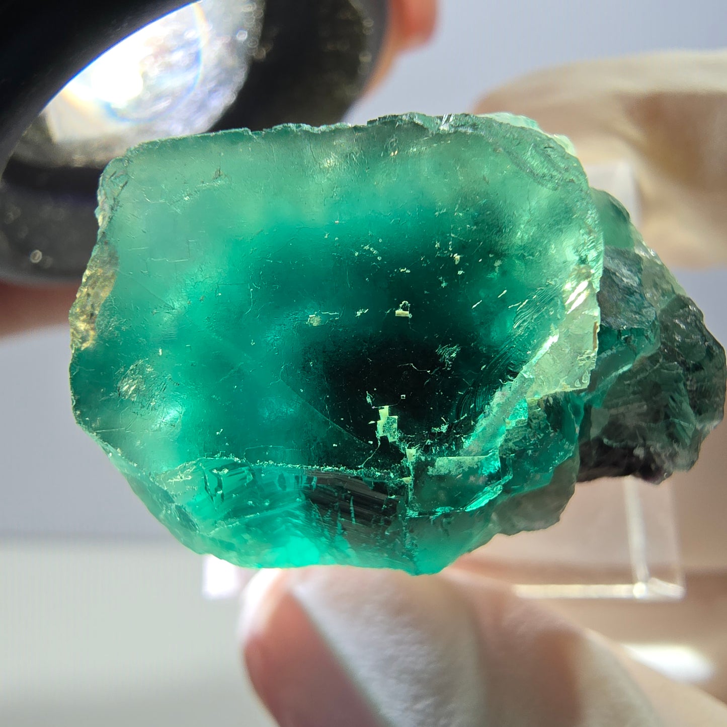 Spécimen rare de cube de fluorite fantôme, vert-violet, Okorusu, Namibie, 27 x 25 x 17 mm