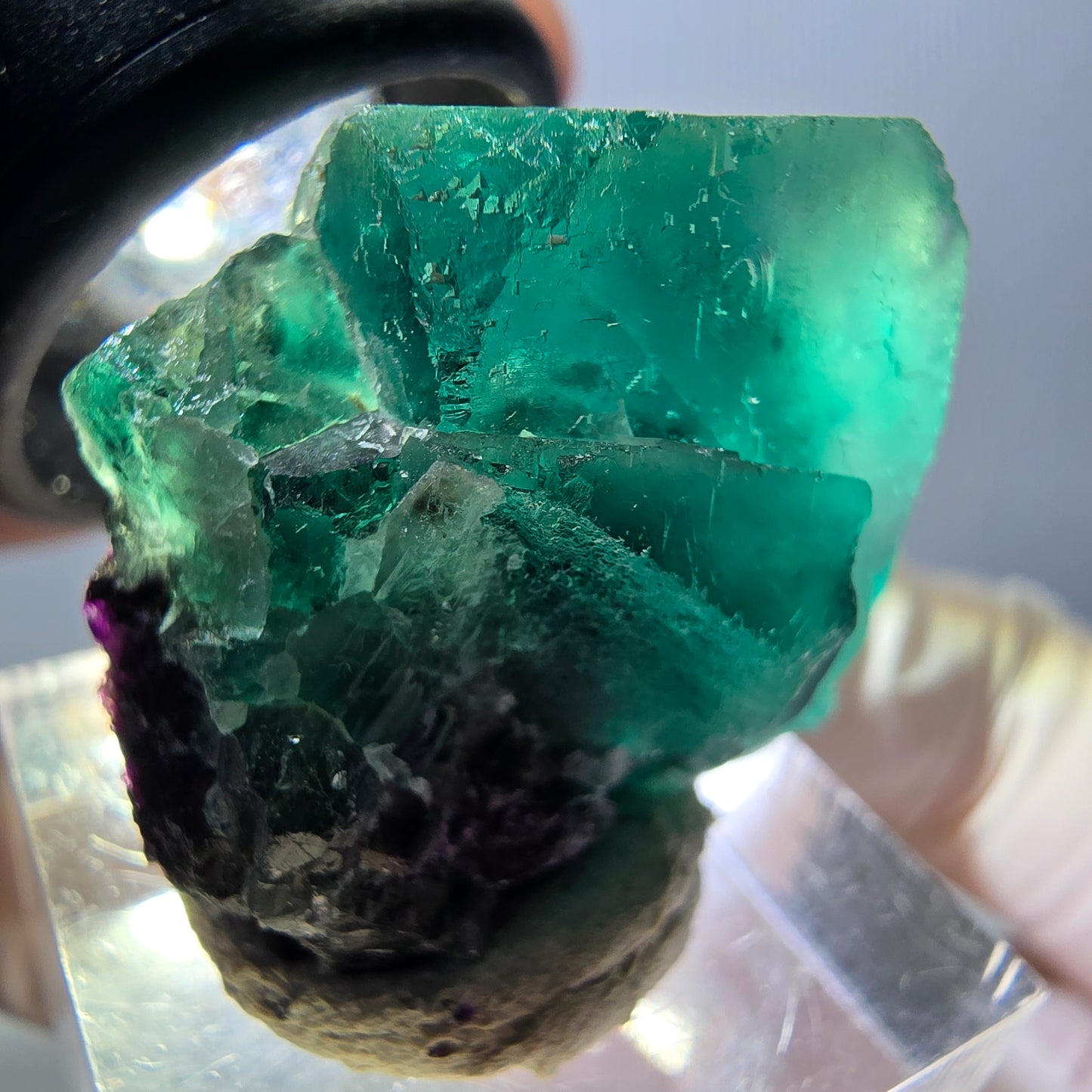 Spécimen rare de cube de fluorite fantôme, vert-violet, Okorusu, Namibie, 27 x 25 x 17 mm