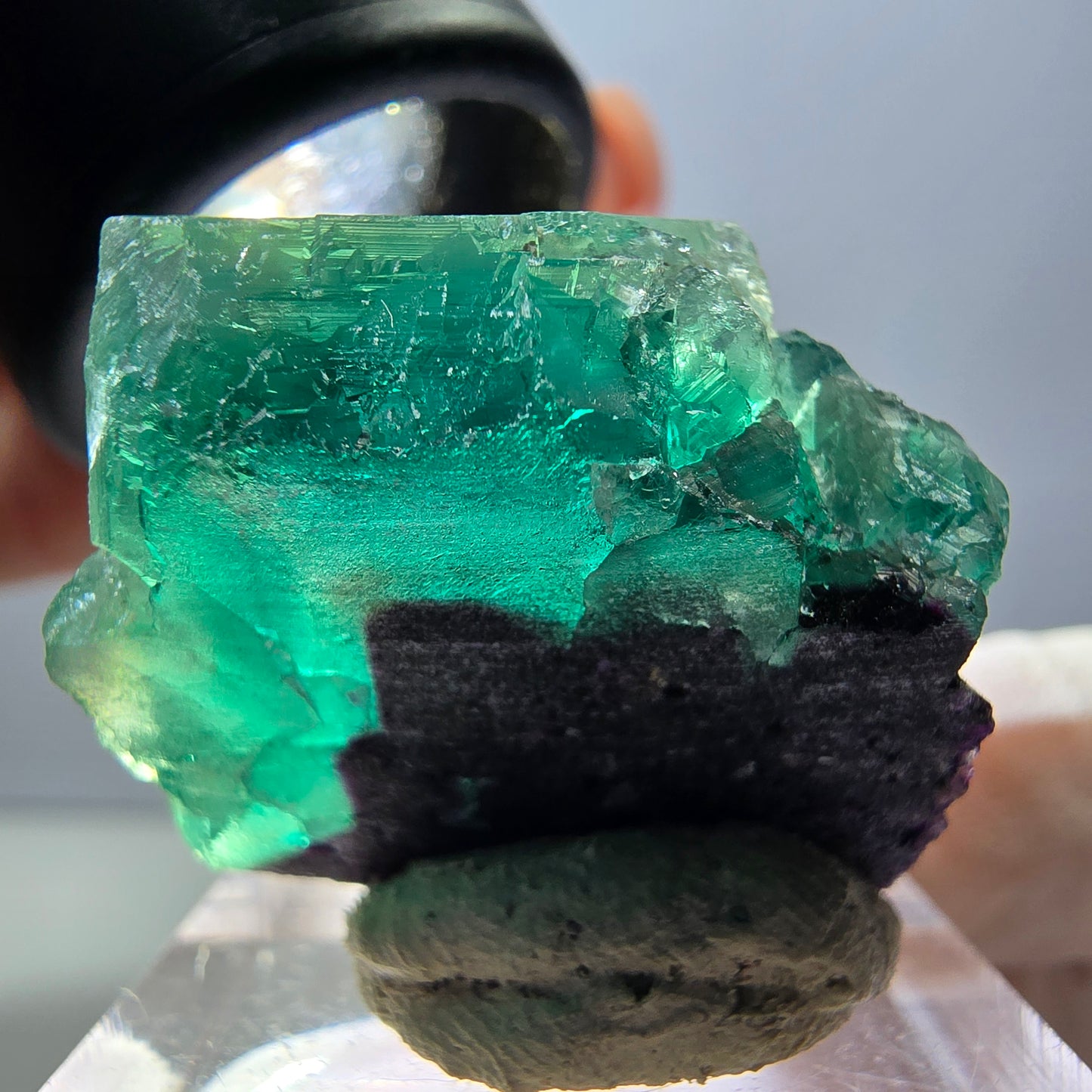 Spécimen rare de cube de fluorite fantôme, vert-violet, Okorusu, Namibie, 27 x 25 x 17 mm