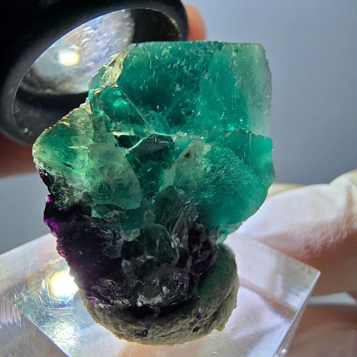 Spécimen rare de cube de fluorite fantôme, vert-violet, Okorusu, Namibie, 27 x 25 x 17 mm