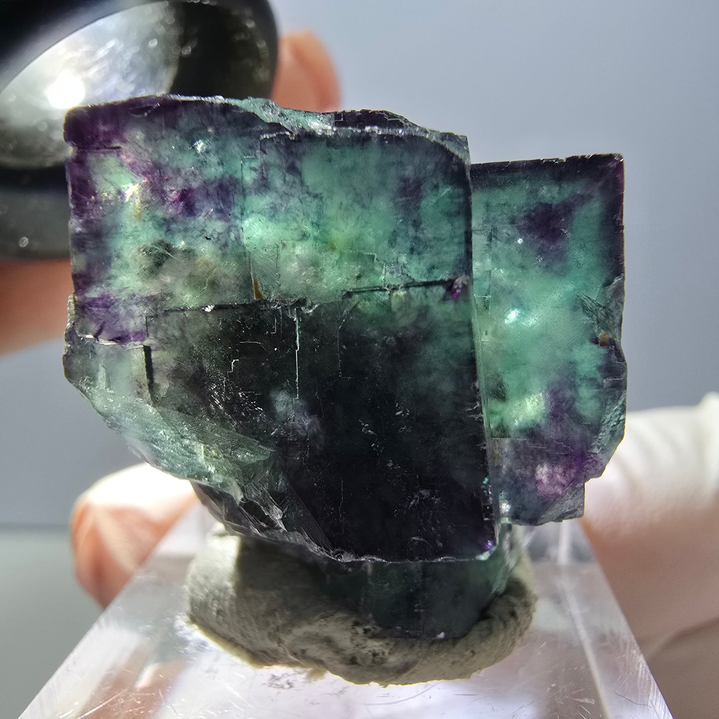 Rare spécimen de cube de fluorite fantôme, vert-violet, Okorusu, Namibie, 24 x 24 x 19 mm