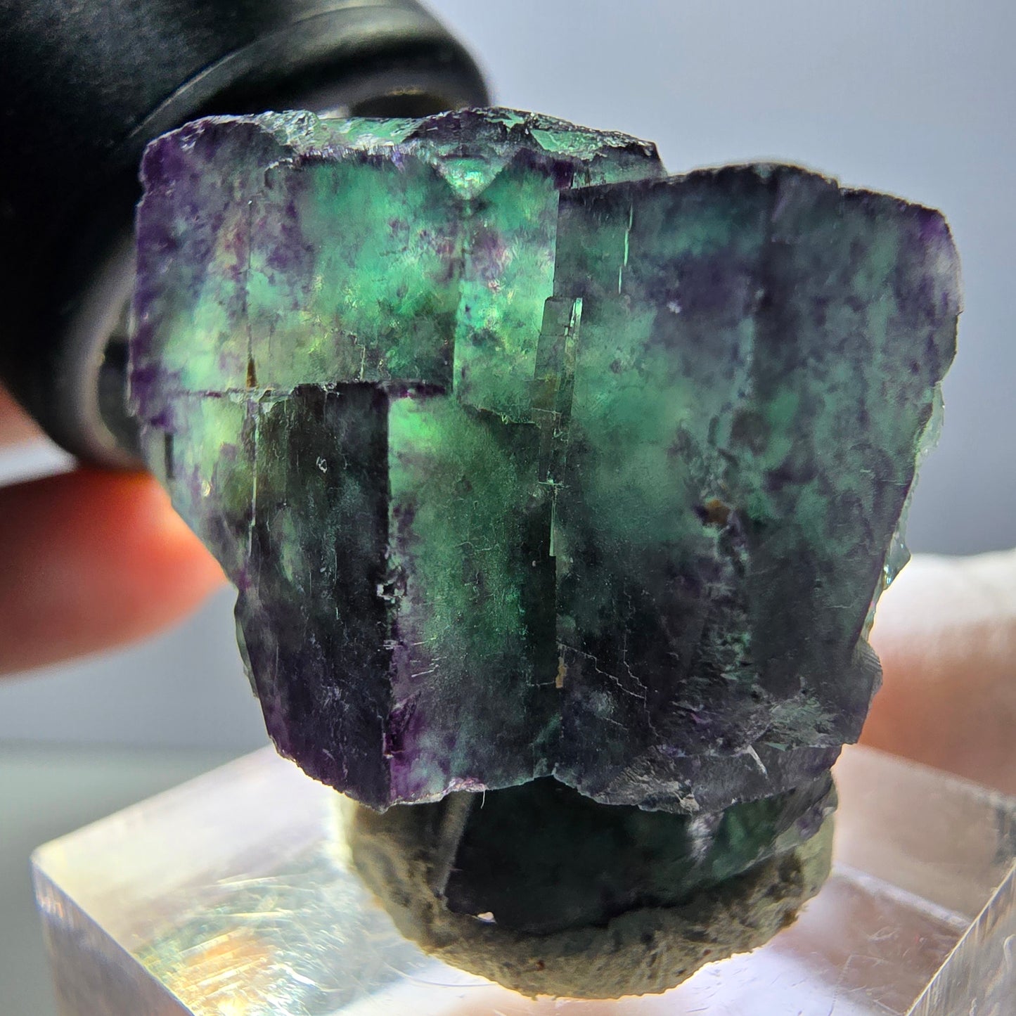 Rare spécimen de cube de fluorite fantôme, vert-violet, Okorusu, Namibie, 24 x 24 x 19 mm
