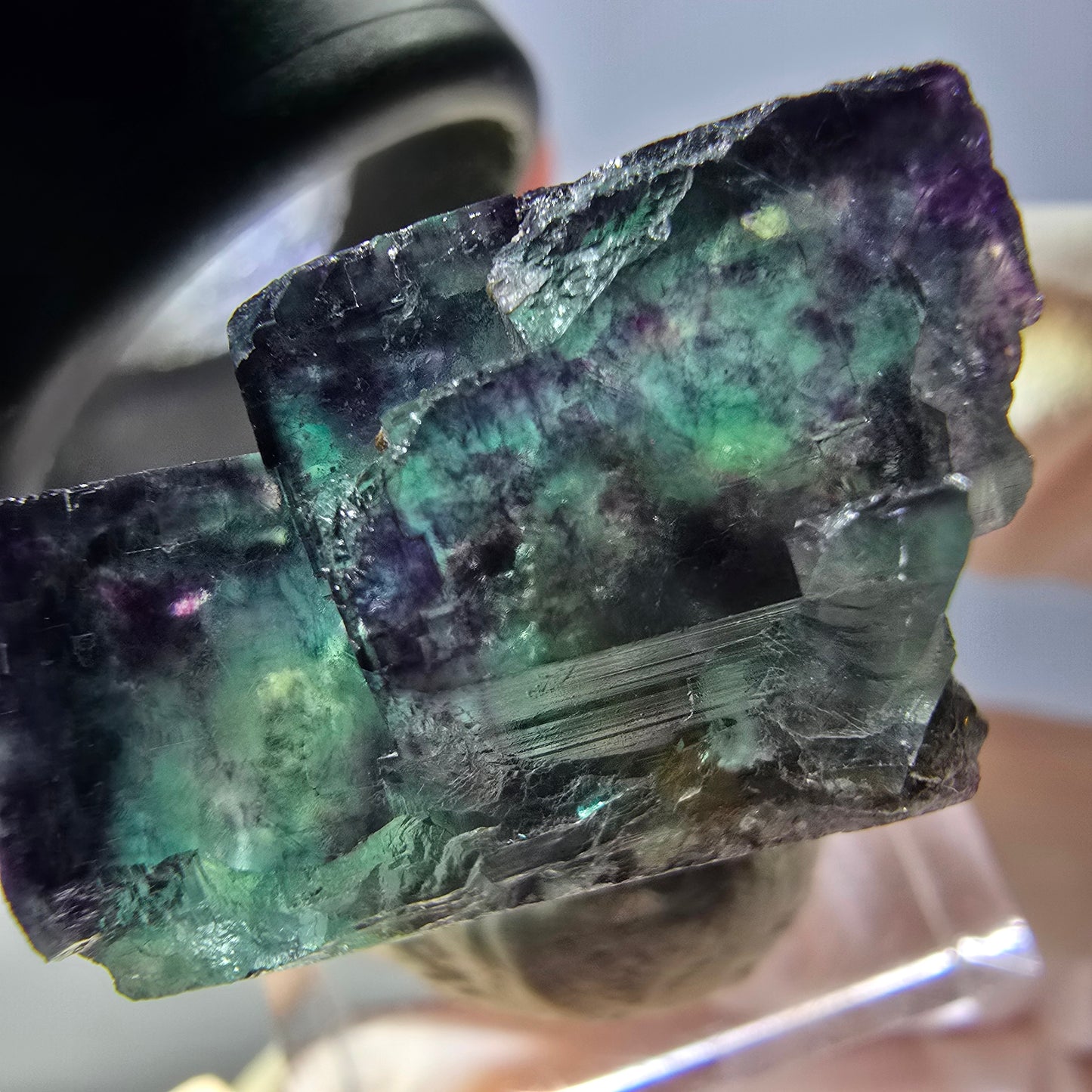 Rare spécimen de cube de fluorite fantôme, vert-violet, Okorusu, Namibie, 24 x 24 x 19 mm