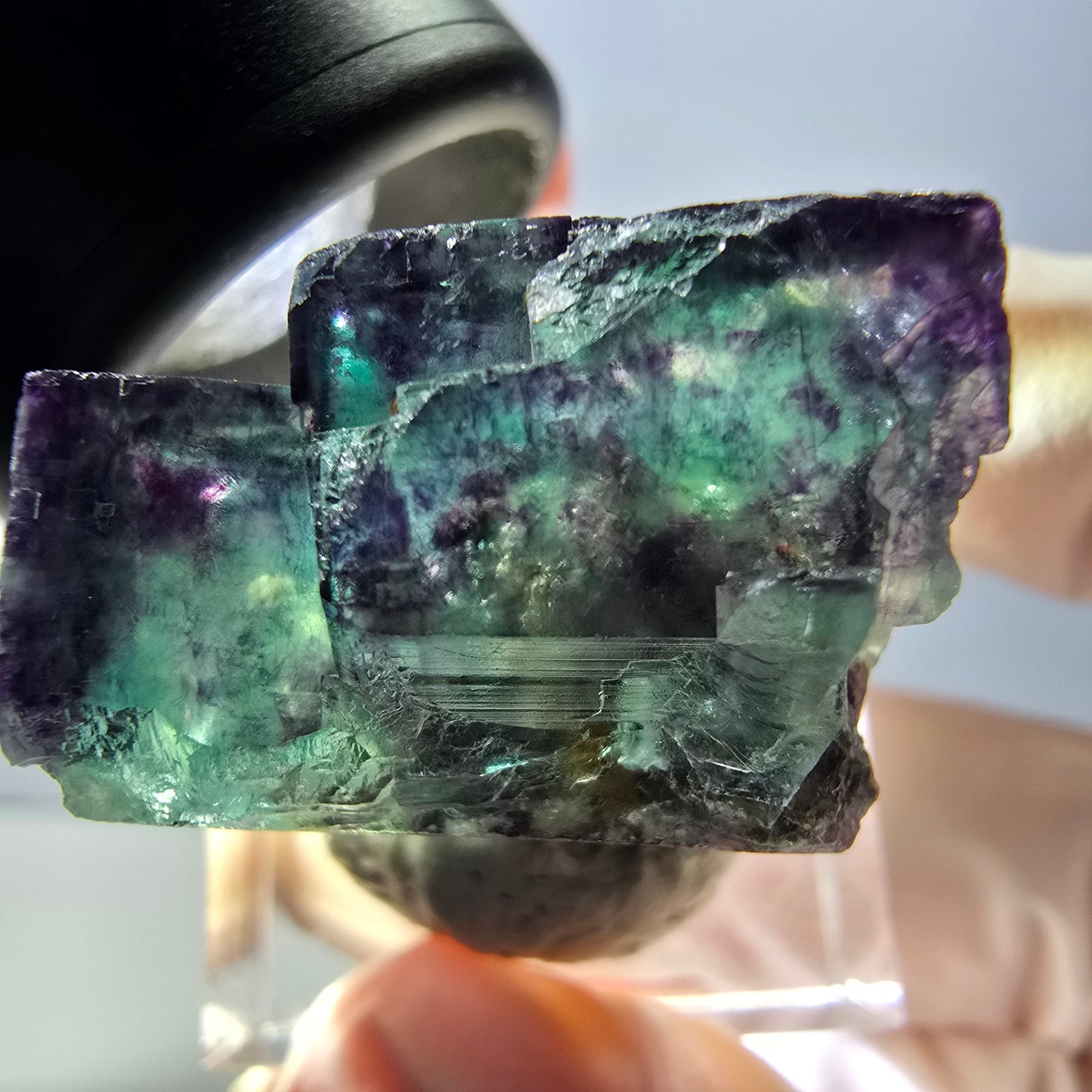 Rare spécimen de cube de fluorite fantôme, vert-violet, Okorusu, Namibie, 24 x 24 x 19 mm