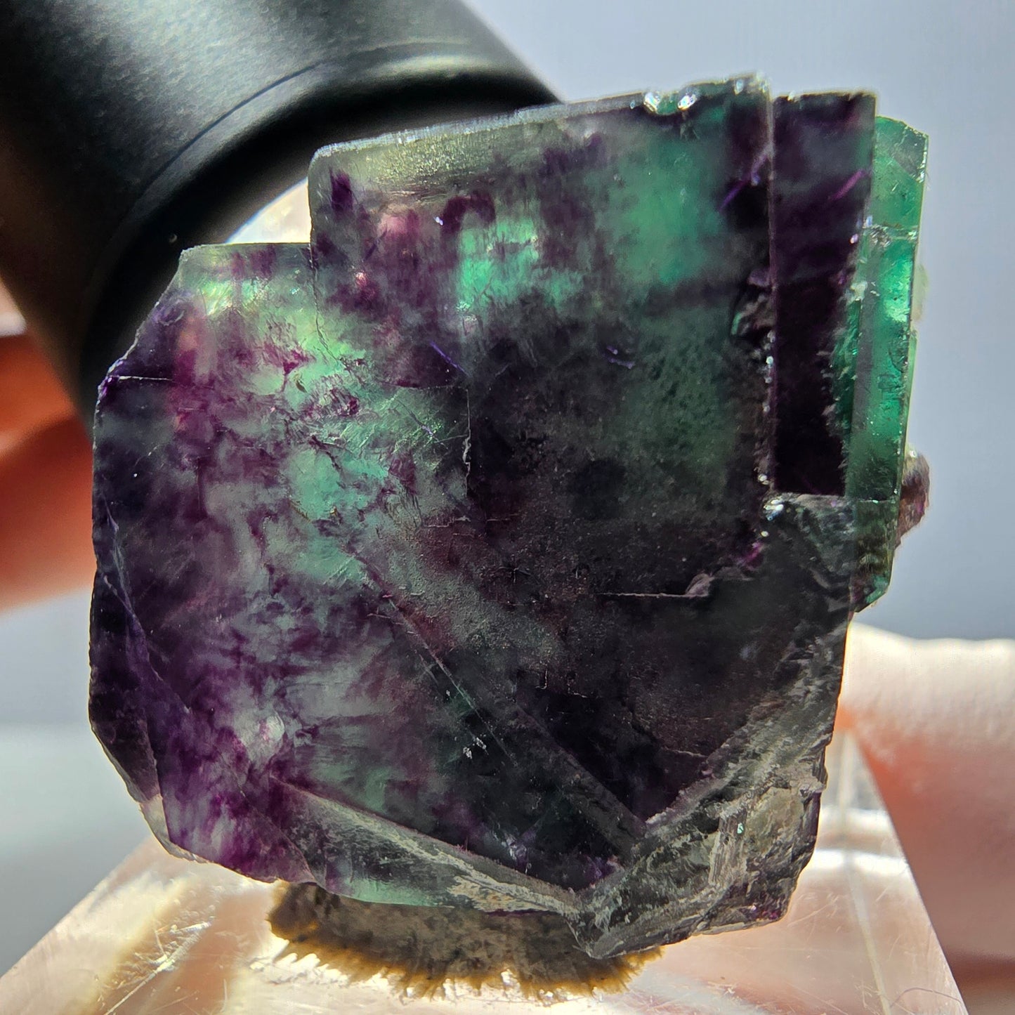 Rare spécimen de cube de fluorite fantôme, vert-violet, Okorusu, Namibie, 26 x 24 x 22 mm