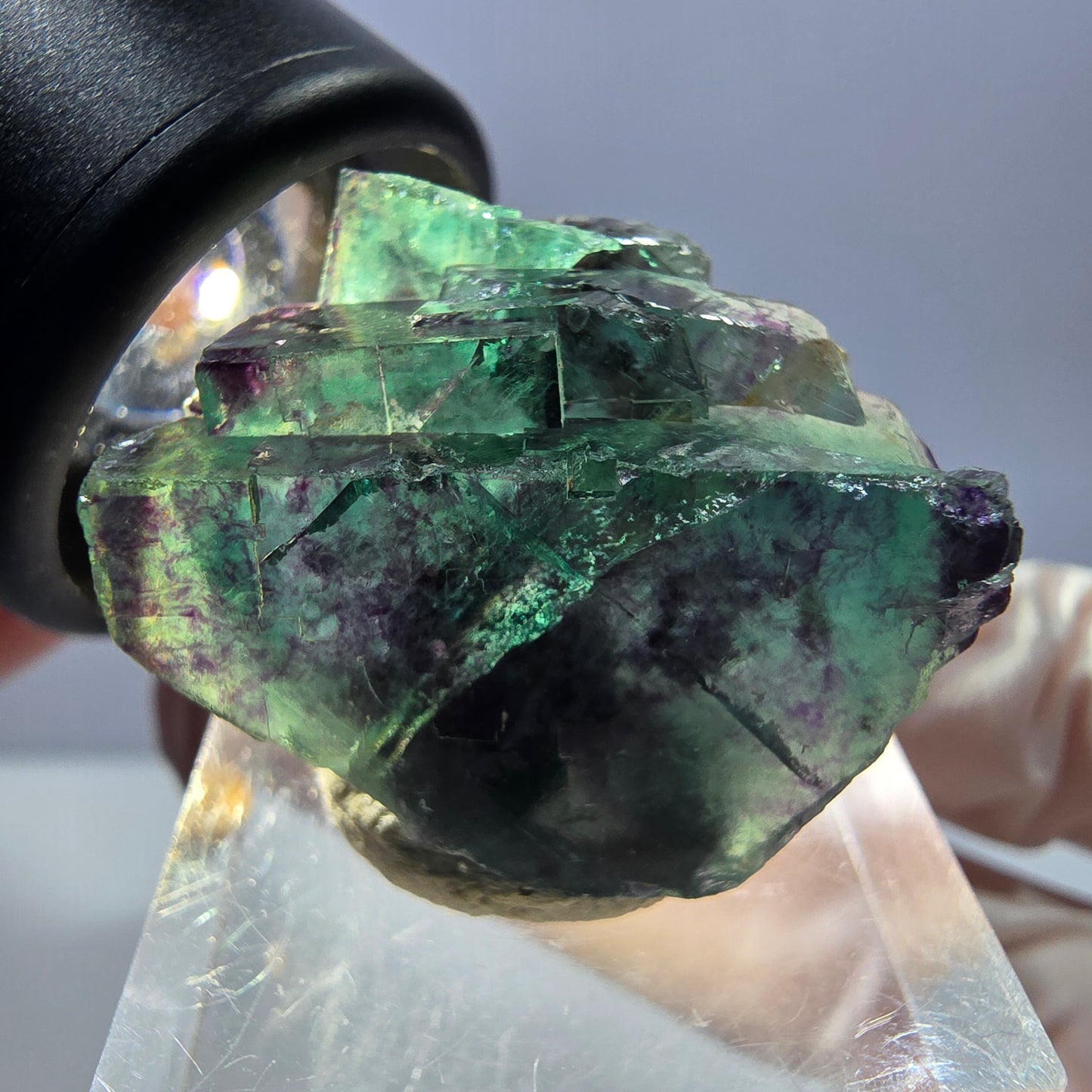 Rare spécimen de cube de fluorite fantôme, vert-violet, Okorusu, Namibie, 26 x 25 x 16 mm