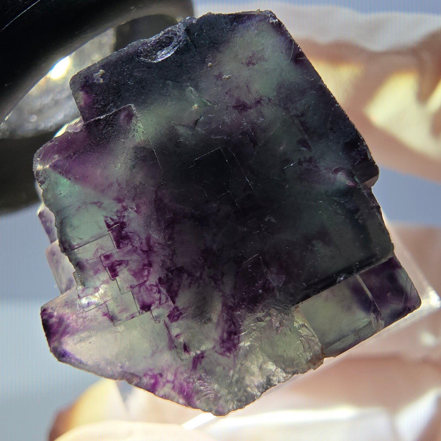 Rare spécimen de cube de fluorite fantôme, vert-violet, Okorusu, Namibie, 27 x 22 x 20 mm