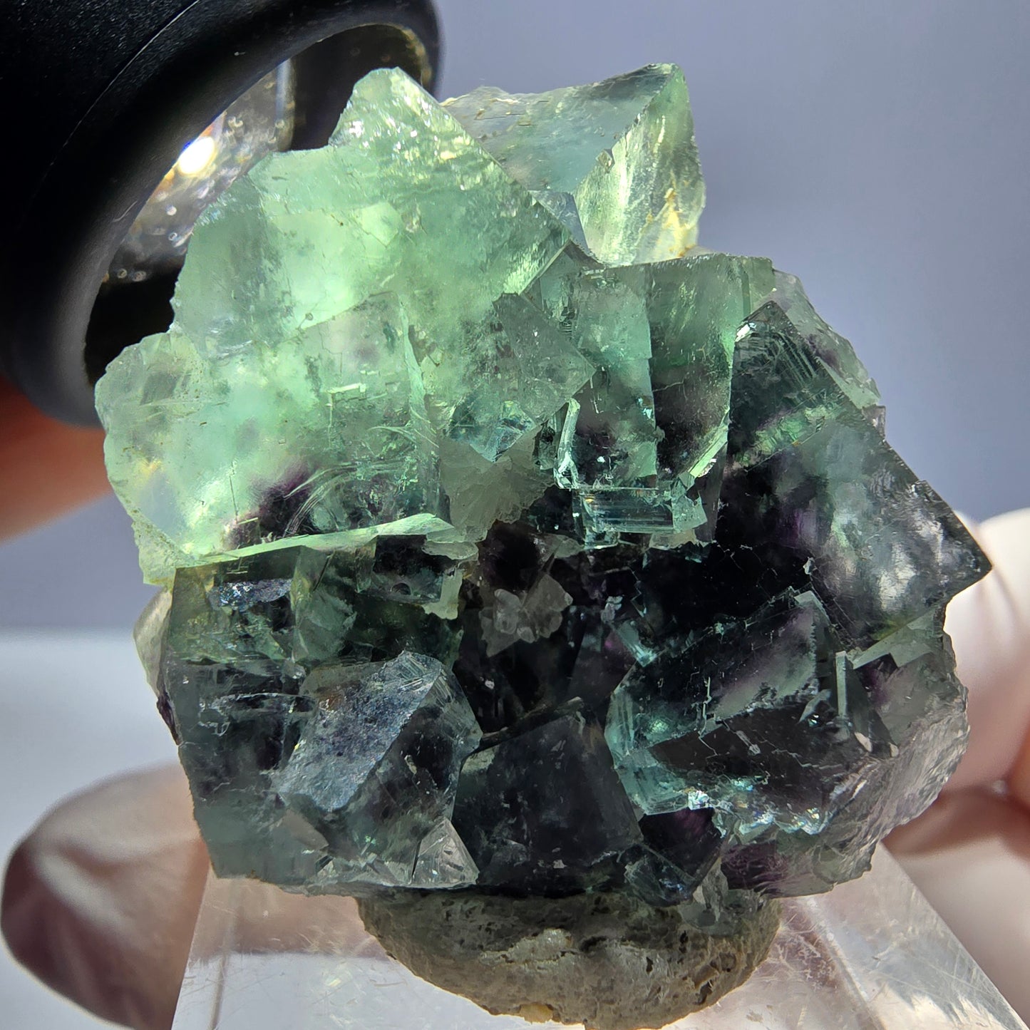 Rare spécimen de cube de fluorite fantôme, vert-violet, Okorusu, Namibie, 35 x 32 x 16 mm