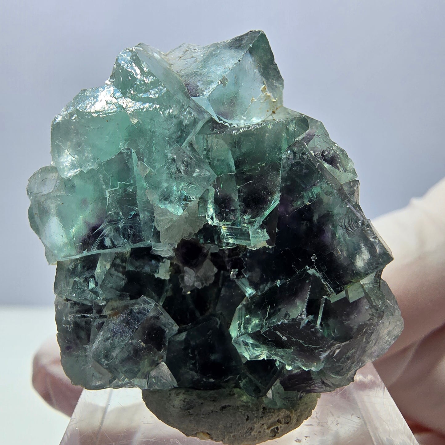 Rare spécimen de cube de fluorite fantôme, vert-violet, Okorusu, Namibie, 35 x 32 x 16 mm
