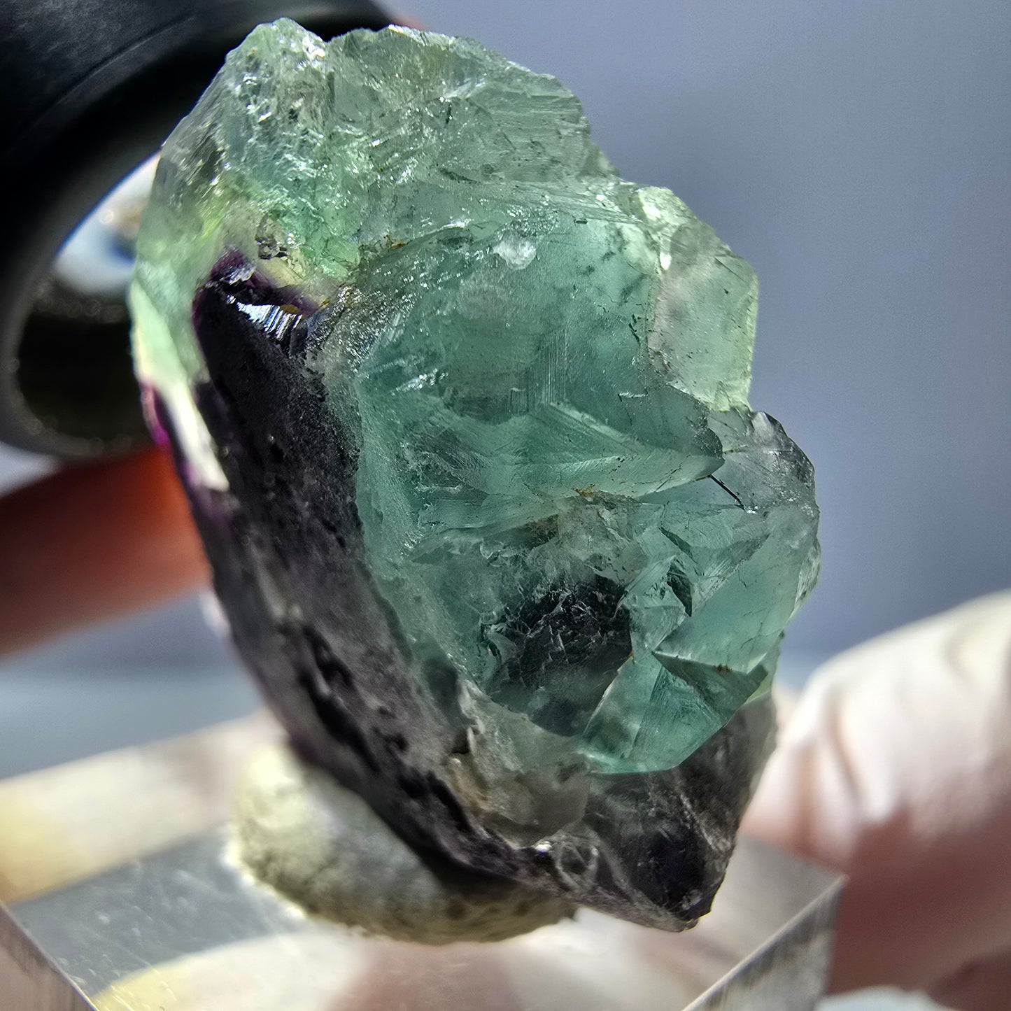 Rare spécimen de cube de fluorite fantôme, vert-violet, Okorusu, Namibie, 35 x 32 x 16 mm