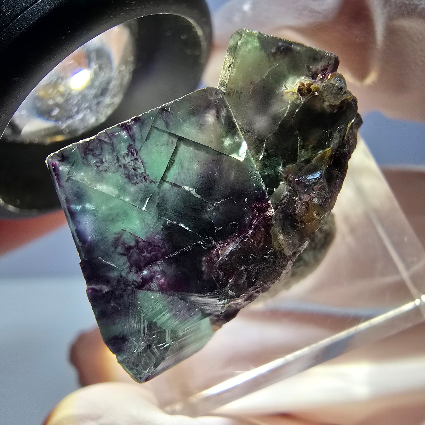Rare spécimen de cube de fluorite fantôme, vert-violet, Okorusu, Namibie, 26 x 17 x 16 mm