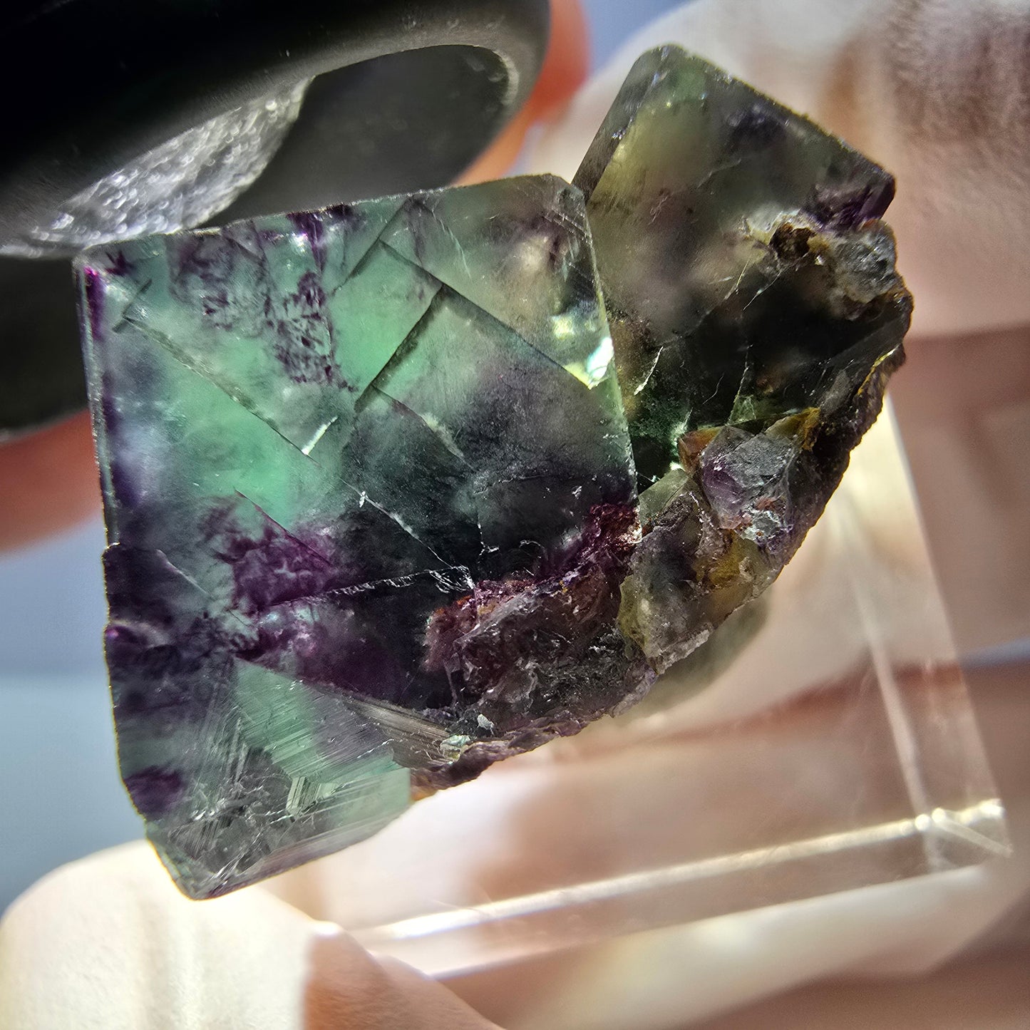 Rare spécimen de cube de fluorite fantôme, vert-violet, Okorusu, Namibie, 26 x 17 x 16 mm