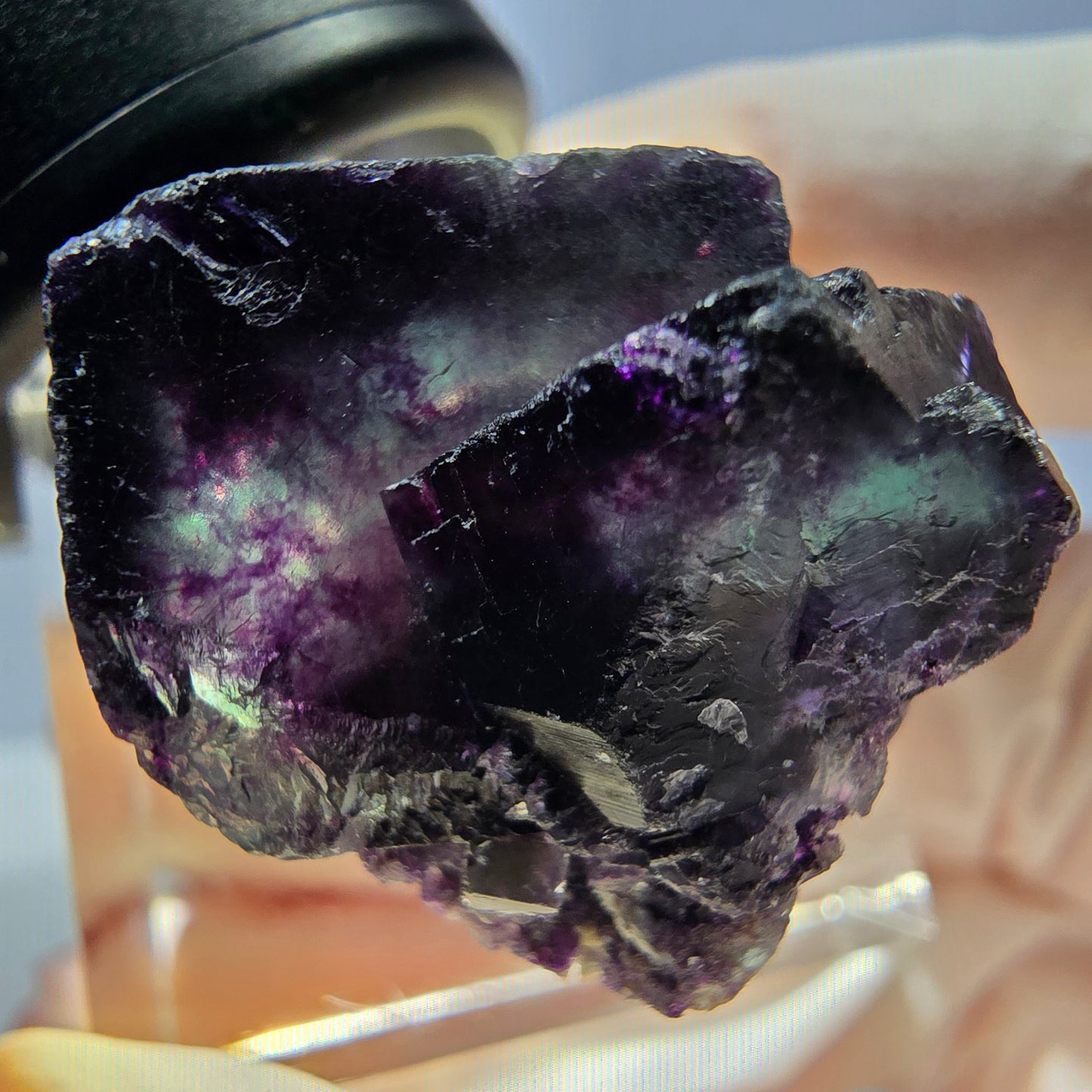 Spécimen rare de cube de fluorite fantôme, vert-violet, Okorusu, Namibie, 27 x 22 x 21 mm