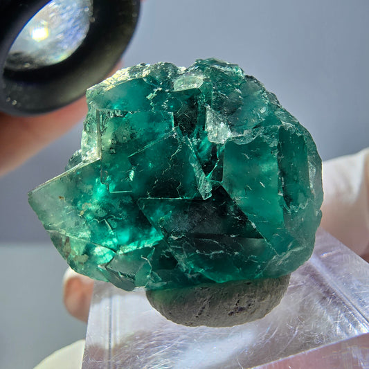 Phantom Fluorit Würfel Stufe, parkettiert grün Okorusu, Namibia 28*24*17mm