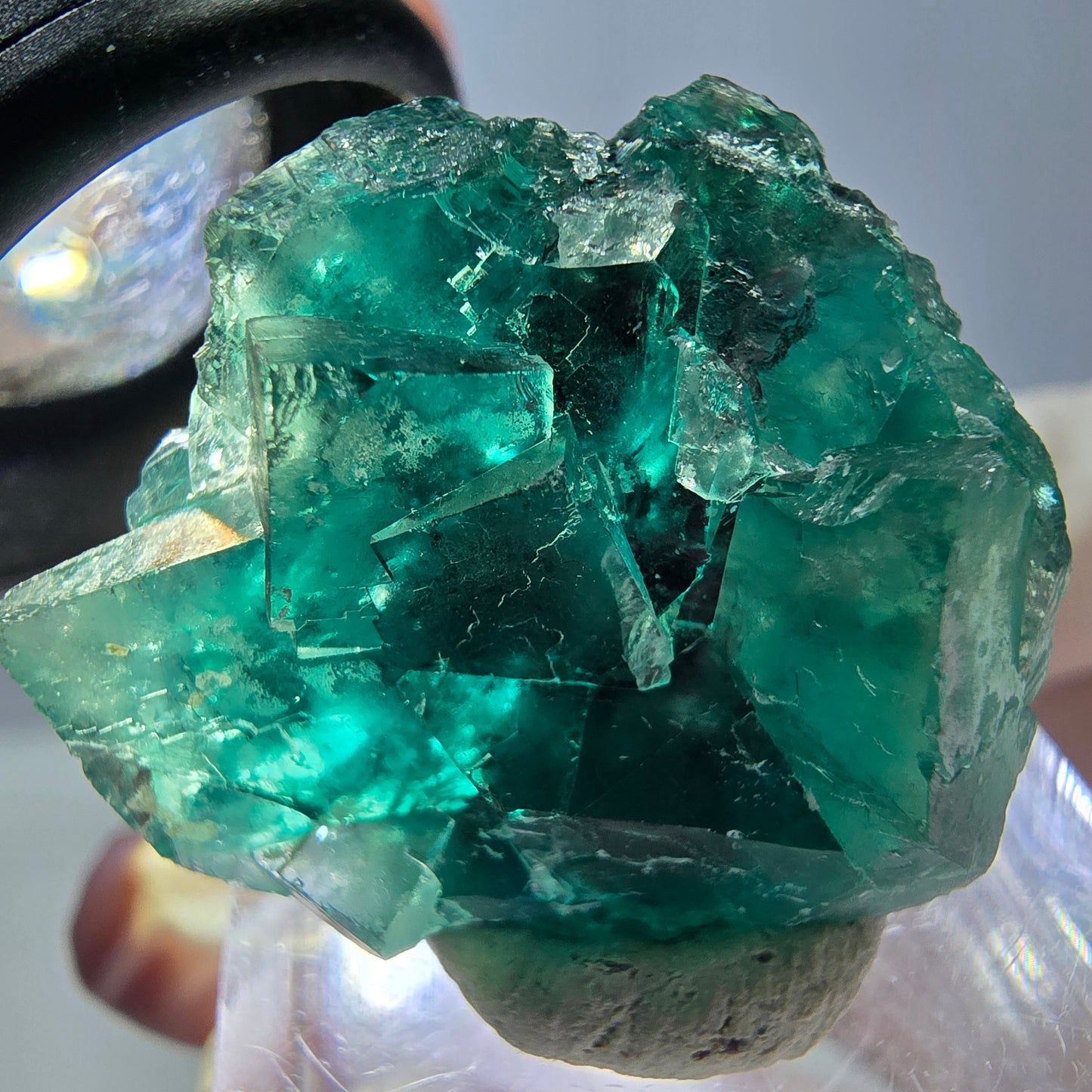 Spécimen de cube de fluorite fantôme, vert parqueté Okorusu, Namibie 28*24*17mm