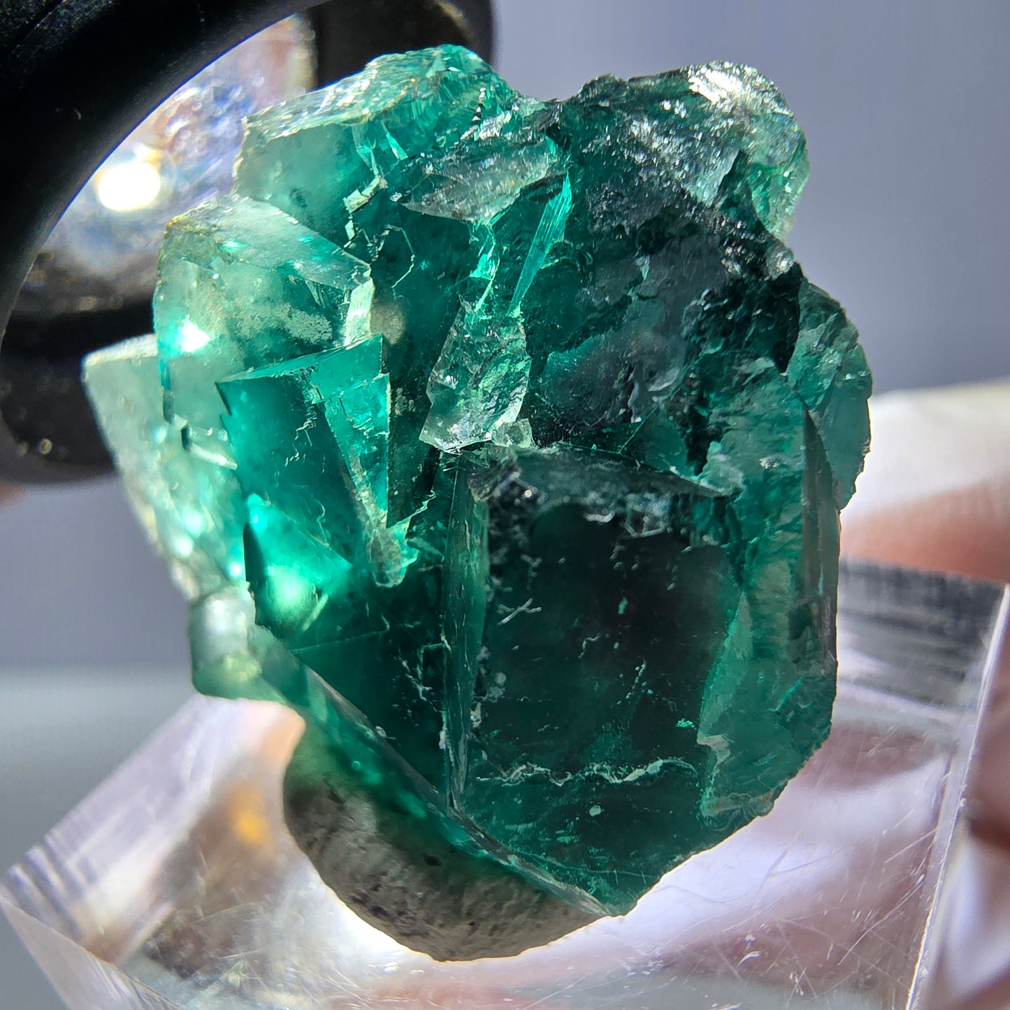 Spécimen de cube de fluorite fantôme, vert parqueté Okorusu, Namibie 28*24*17mm