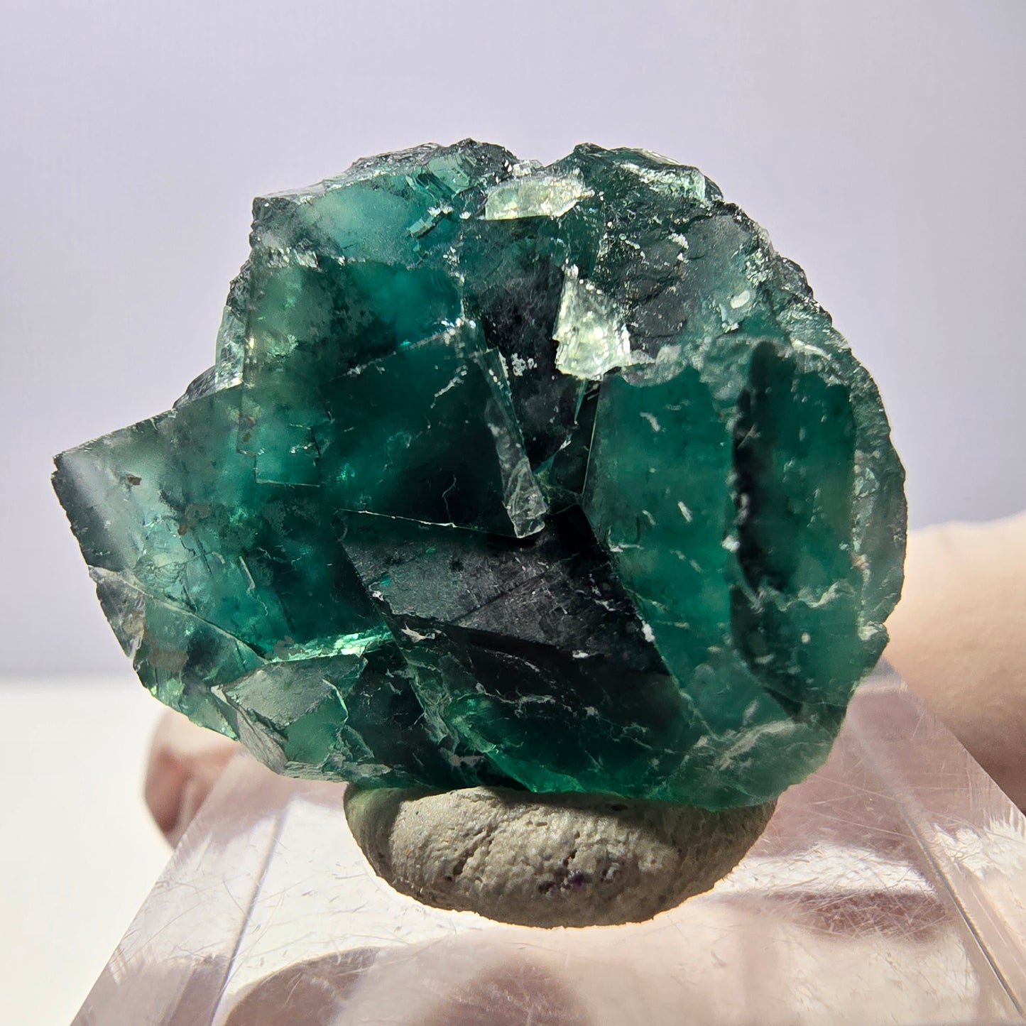Spécimen de cube de fluorite fantôme, vert parqueté Okorusu, Namibie 28*24*17mm