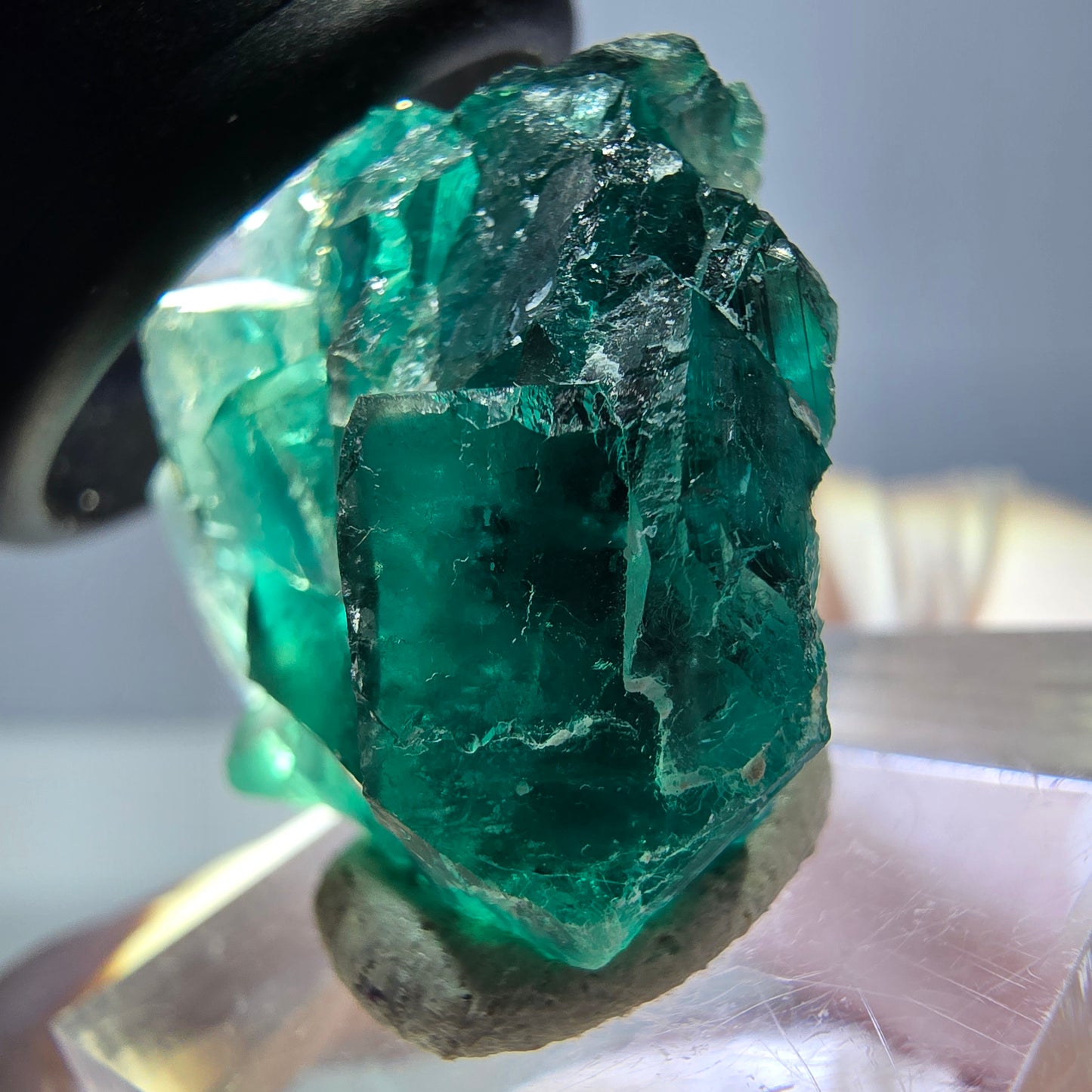 Spécimen de cube de fluorite fantôme, vert parqueté Okorusu, Namibie 28*24*17mm