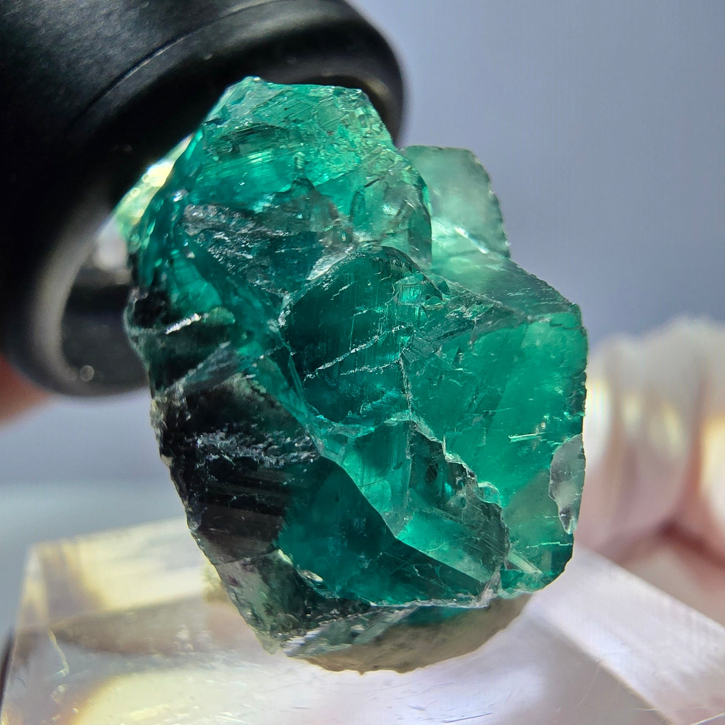 Spécimen de cube de fluorite fantôme, vert parqueté Okorusu, Namibie 28*24*17mm