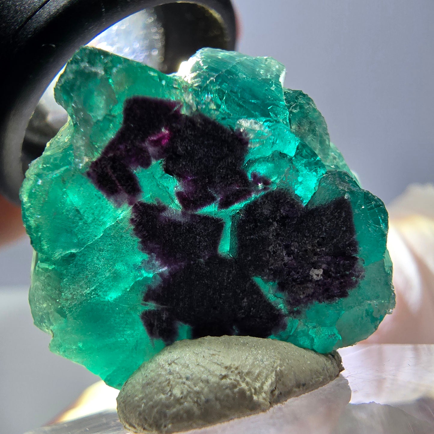 Spécimen de cube de fluorite fantôme, vert parqueté Okorusu, Namibie 28*24*17mm