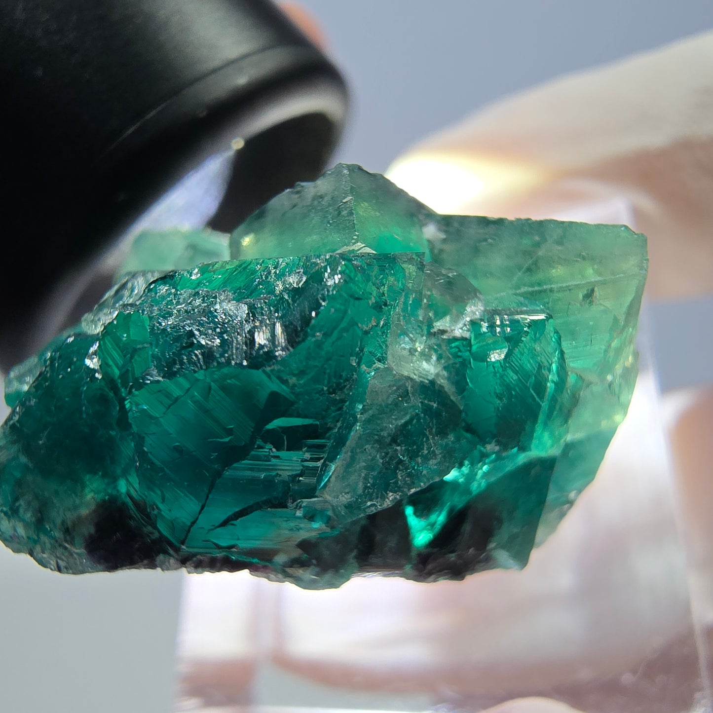 Spécimen de cube de fluorite fantôme, vert parqueté Okorusu, Namibie 28*24*17mm