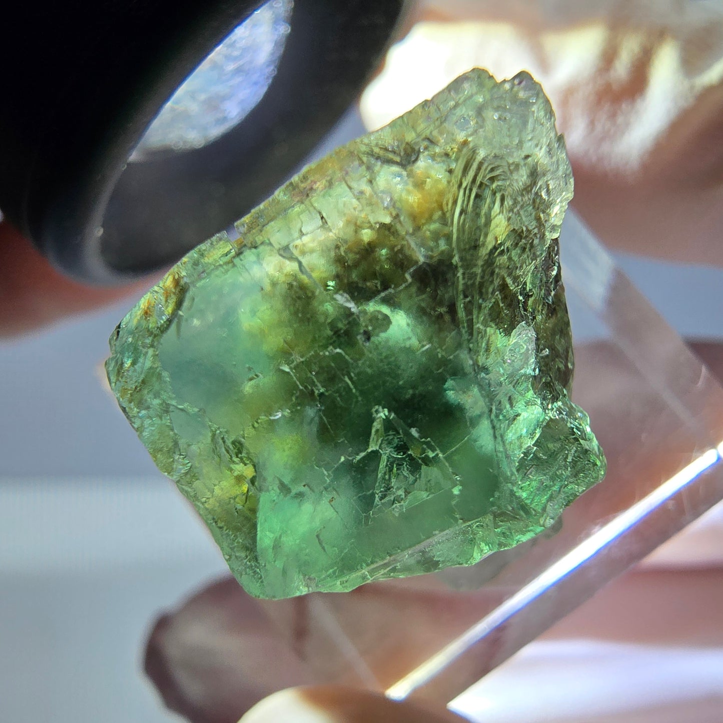 Spécimen de cube de fluorite fantôme, vert parqueté Okorusu, Namibie 22*20*19mm