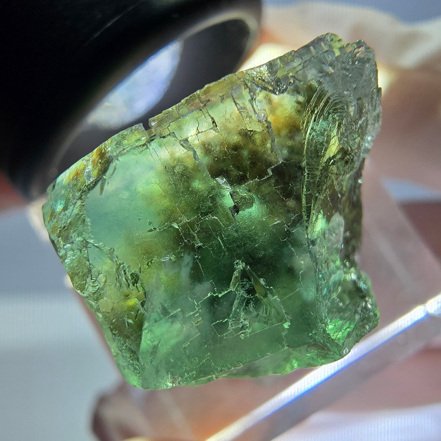 Spécimen de cube de fluorite fantôme, vert parqueté Okorusu, Namibie 22*20*19mm