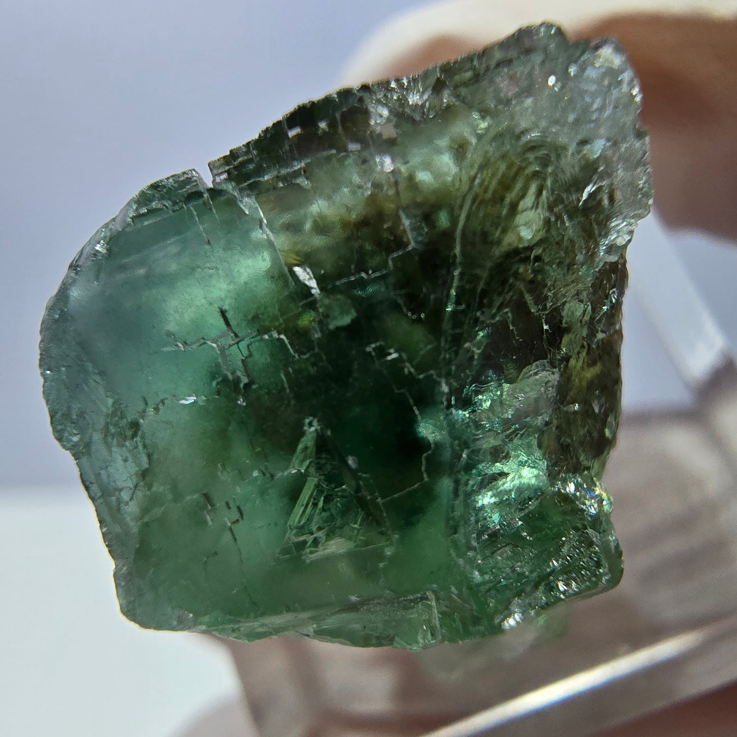 Spécimen de cube de fluorite fantôme, vert parqueté Okorusu, Namibie 22*20*19mm