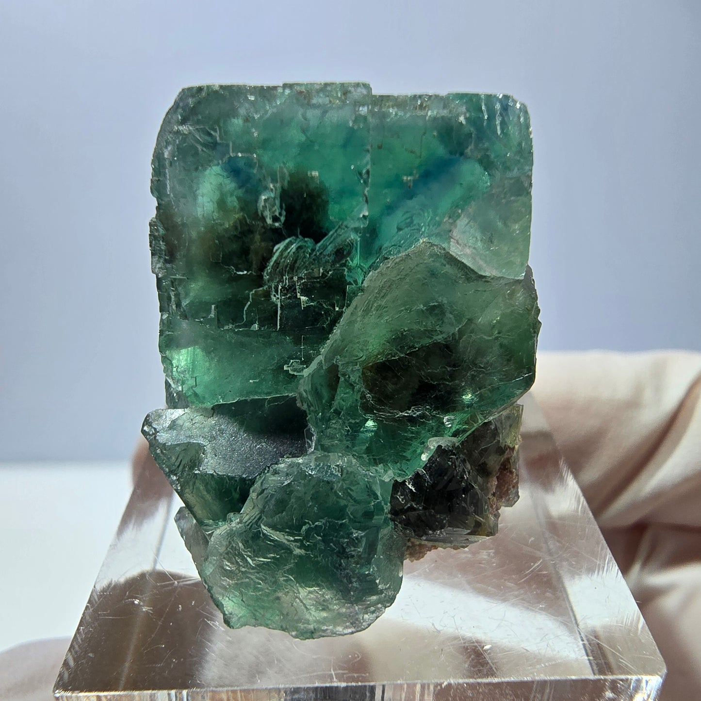 Spécimen de cube de fluorite fantôme, vert parqueté Okorusu, Namibie 27*20*19mm