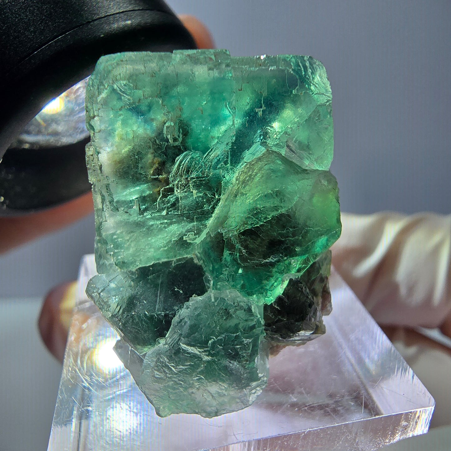 Spécimen de cube de fluorite fantôme, vert parqueté Okorusu, Namibie 27*20*19mm