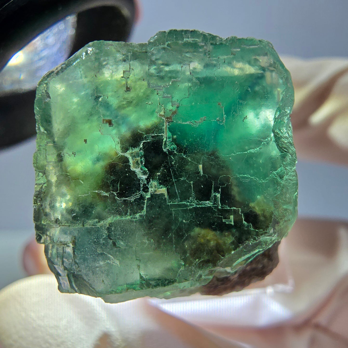 Spécimen de cube de fluorite fantôme, vert parqueté Okorusu, Namibie 27*20*19mm