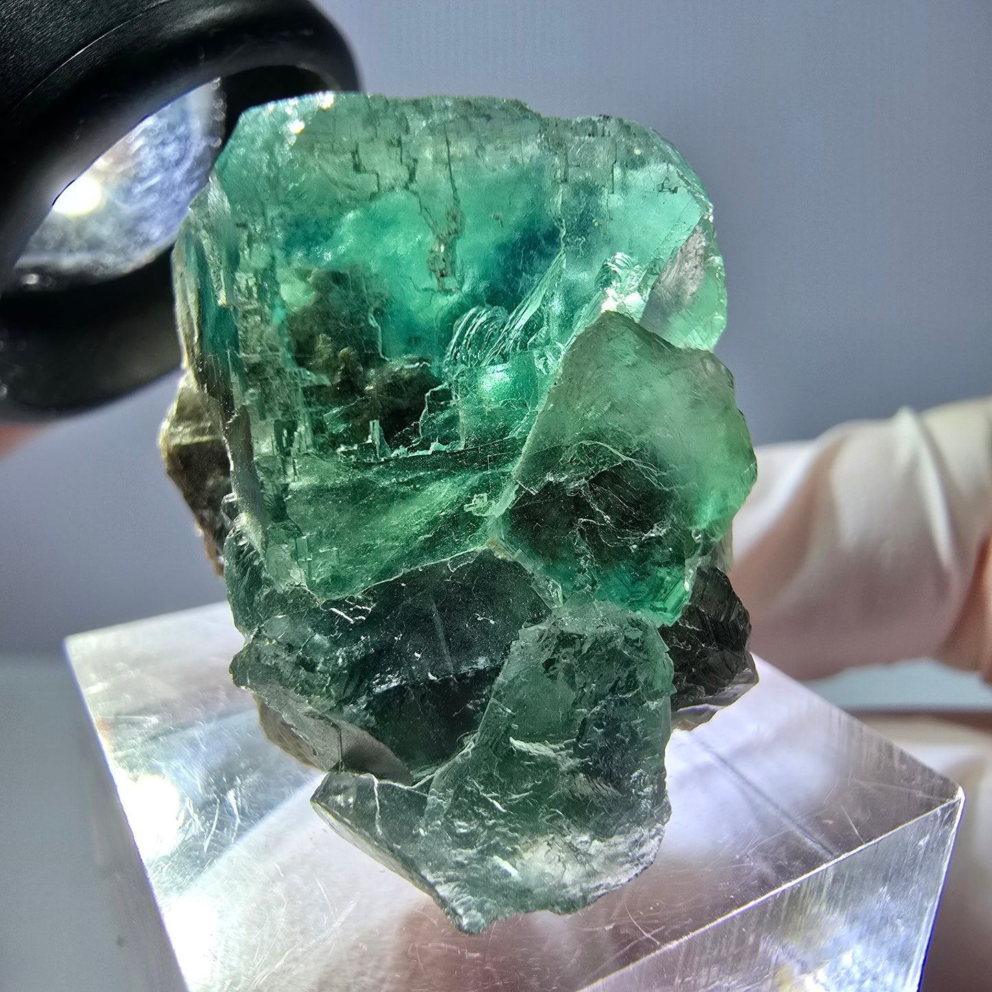 Spécimen de cube de fluorite fantôme, vert parqueté Okorusu, Namibie 27*20*19mm