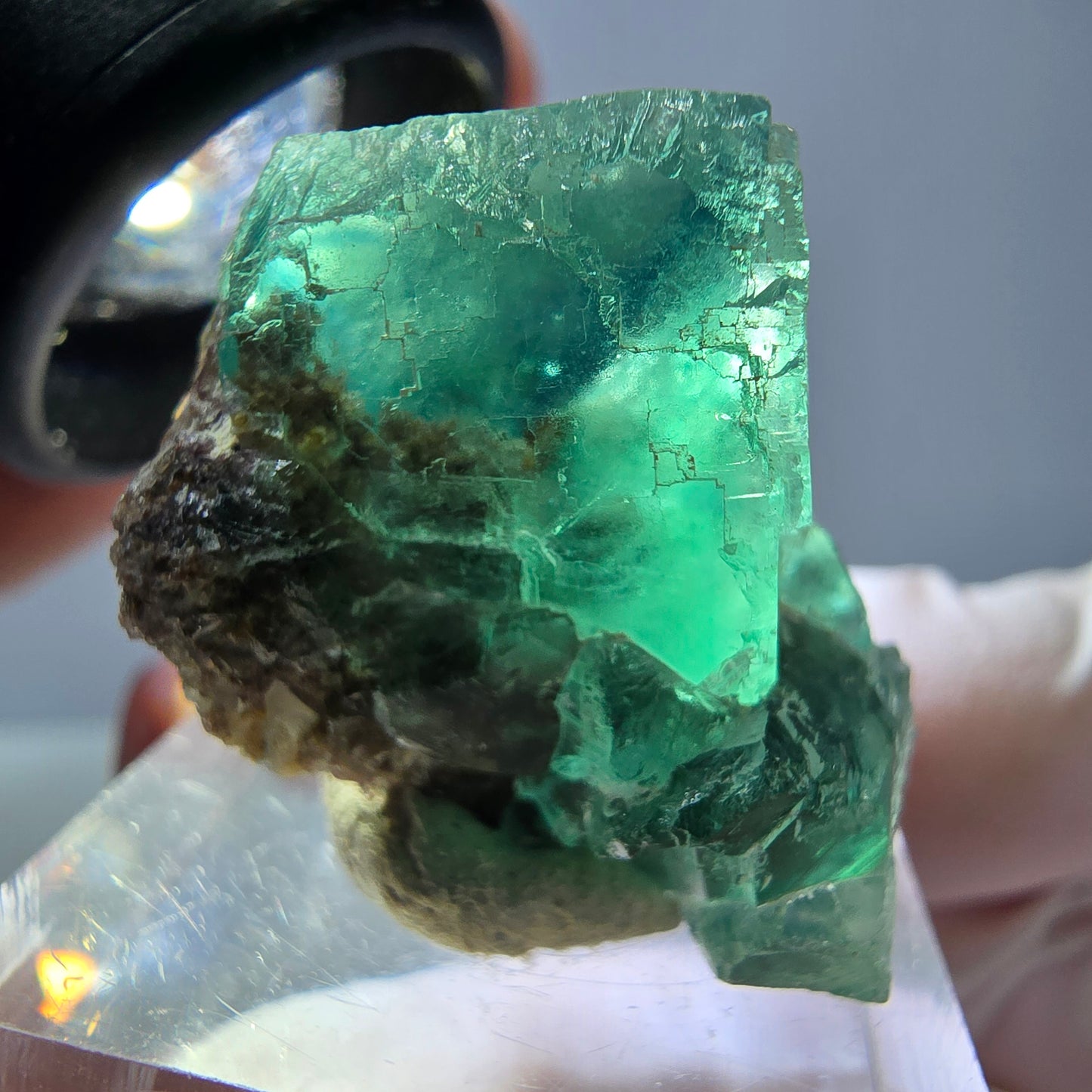 Spécimen de cube de fluorite fantôme, vert parqueté Okorusu, Namibie 27*20*19mm