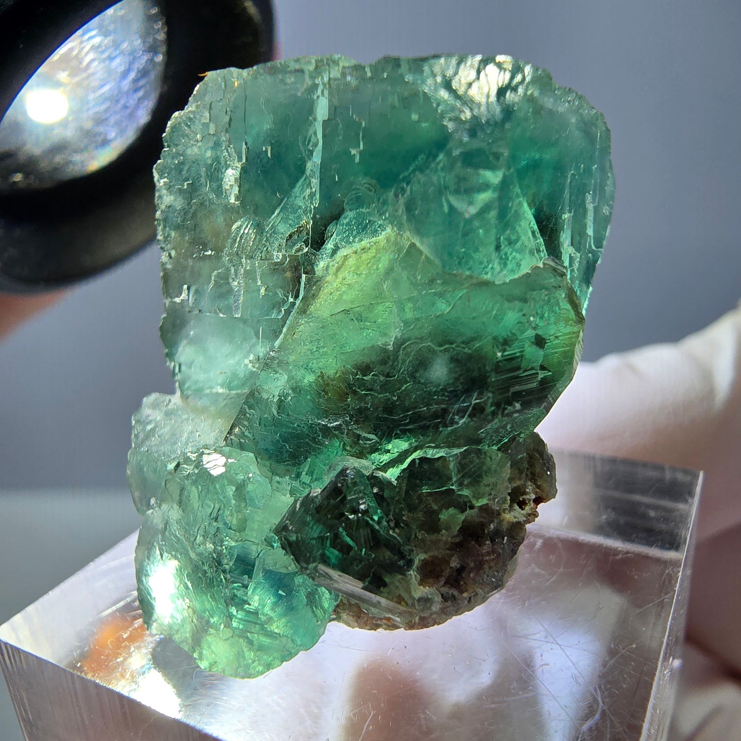 Spécimen de cube de fluorite fantôme, vert parqueté Okorusu, Namibie 27*20*19mm