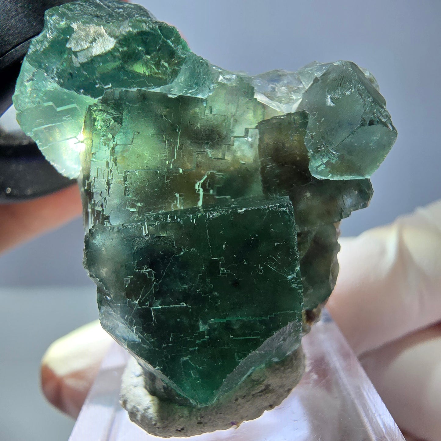 Spécimen de cube de fluorite fantôme, vert parqueté Okorusu, Namibie 39*31*16 mm