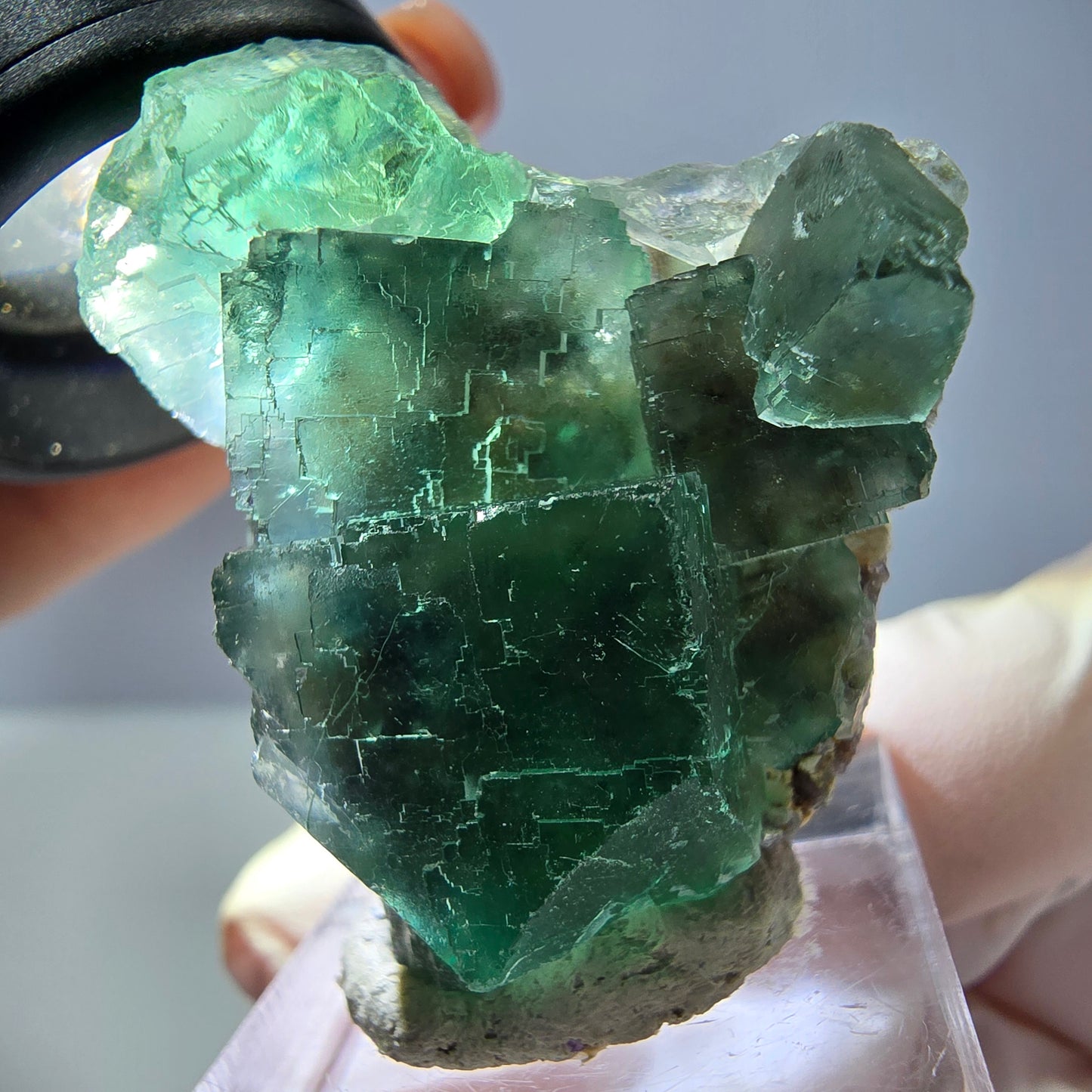 Spécimen de cube de fluorite fantôme, vert parqueté Okorusu, Namibie 39*31*16 mm