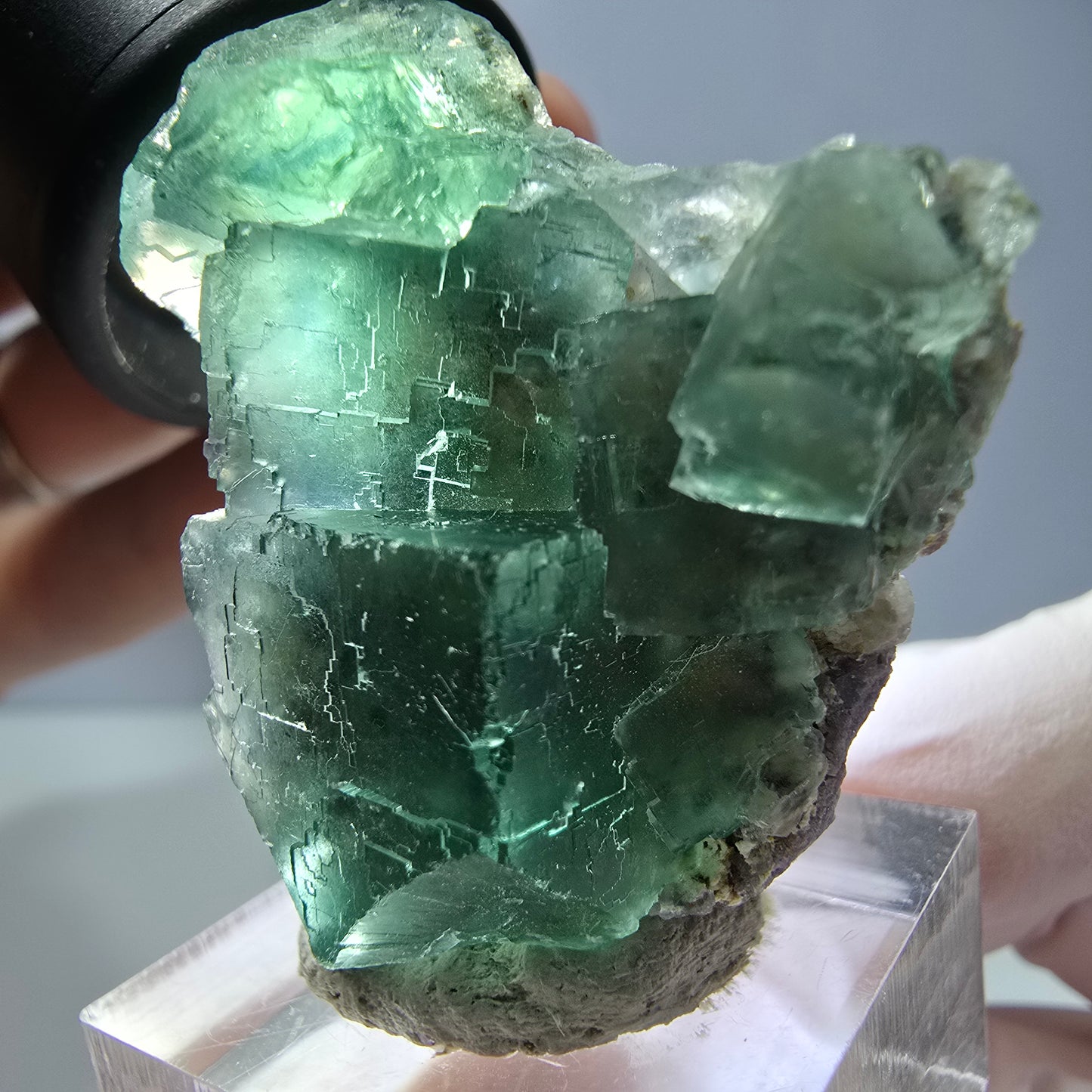 Spécimen de cube de fluorite fantôme, vert parqueté Okorusu, Namibie 39*31*16 mm