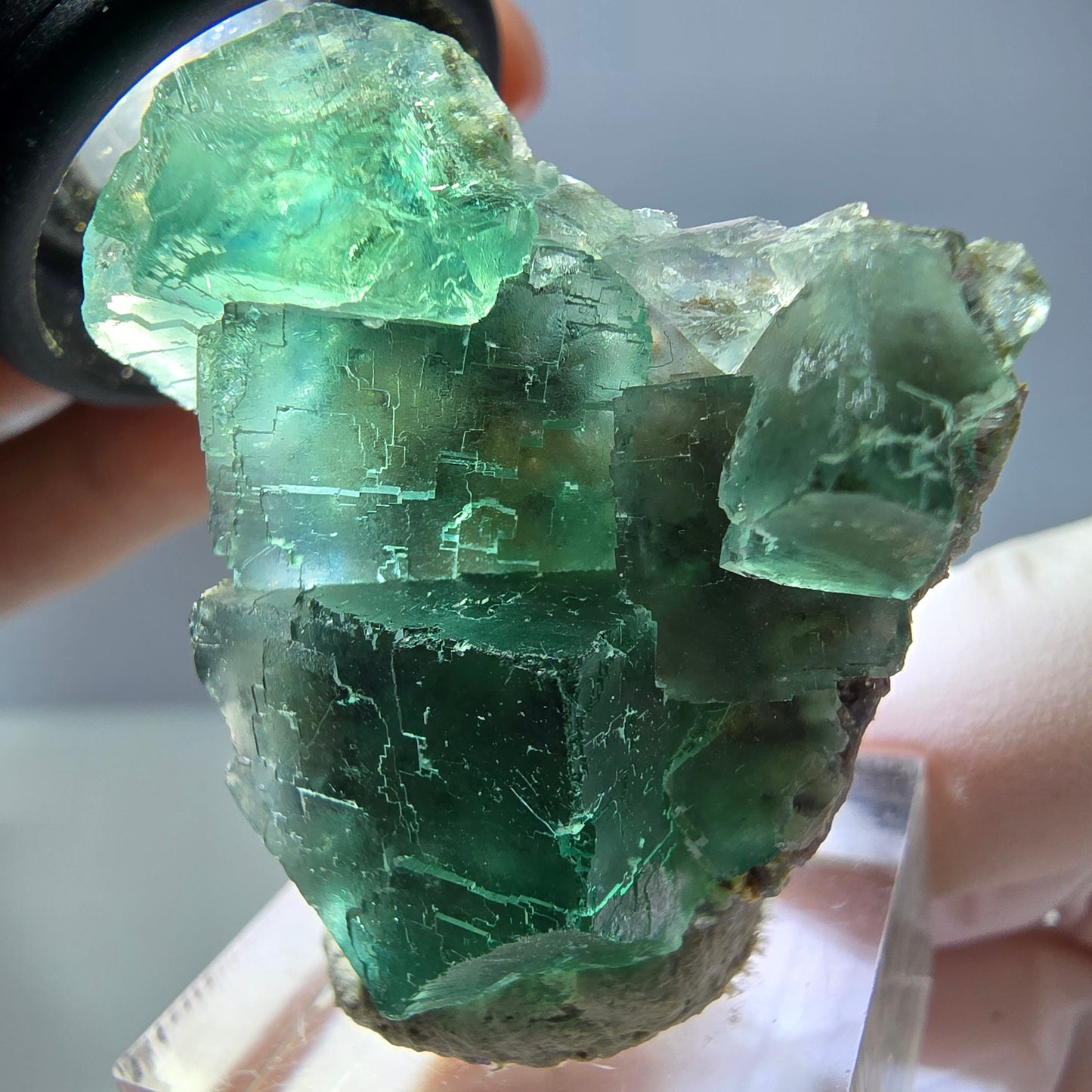 Spécimen de cube de fluorite fantôme, vert parqueté Okorusu, Namibie 39*31*16 mm