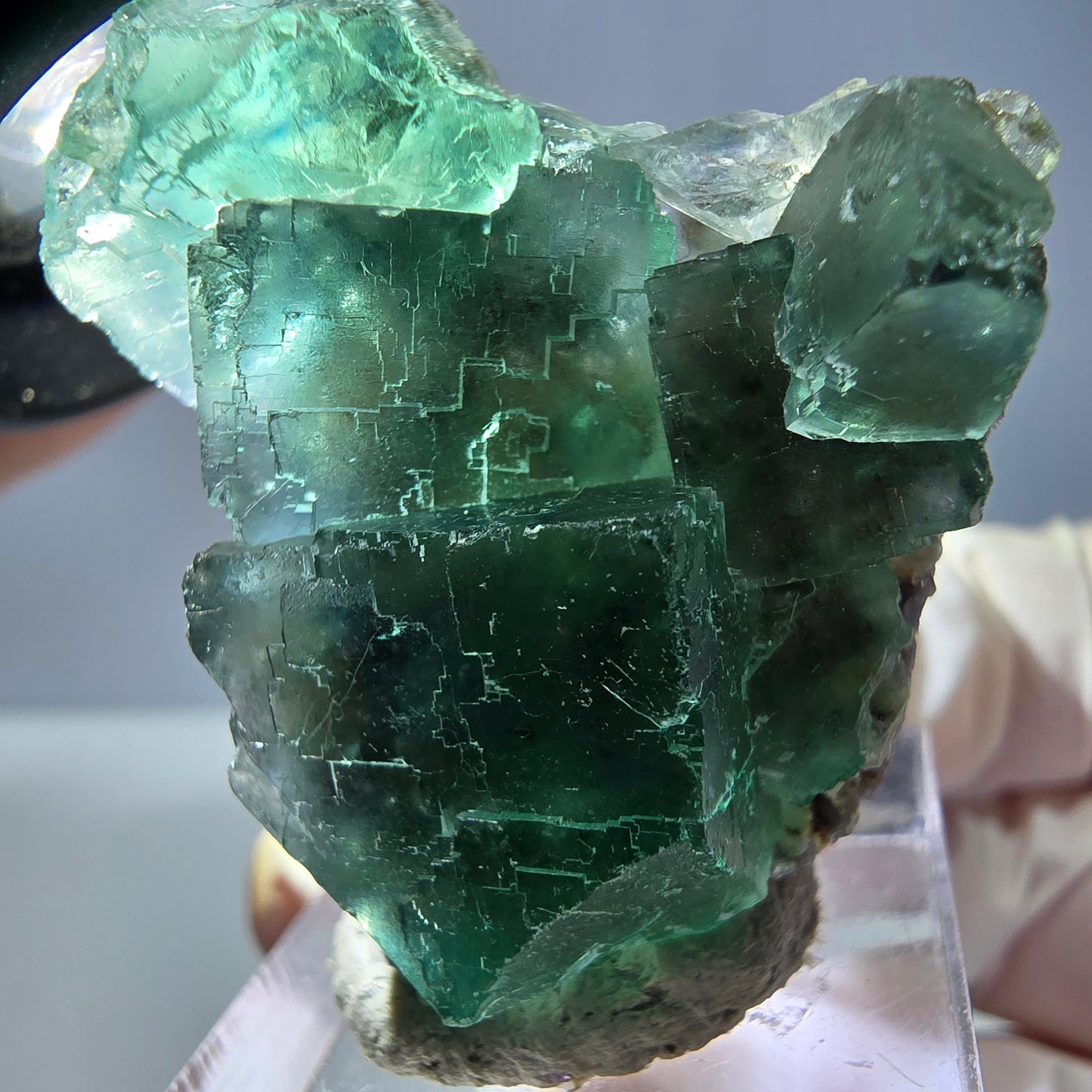 Spécimen de cube de fluorite fantôme, vert parqueté Okorusu, Namibie 39*31*16 mm