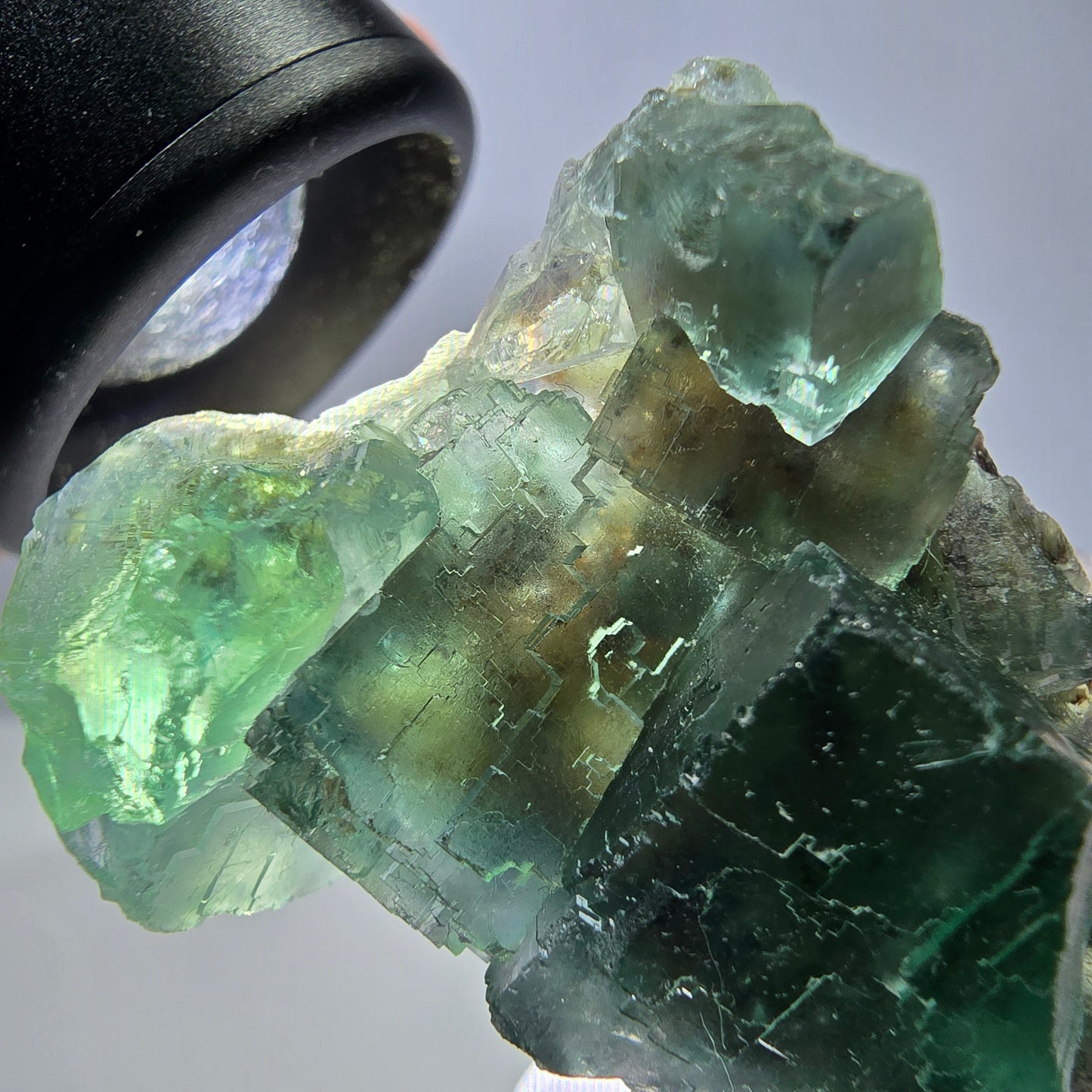 Spécimen de cube de fluorite fantôme, vert parqueté Okorusu, Namibie 39*31*16 mm