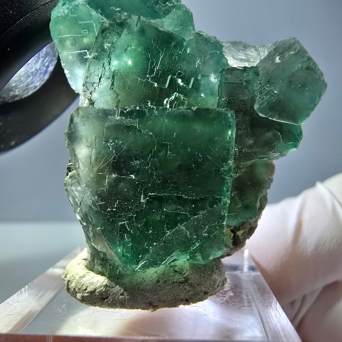Spécimen de cube de fluorite fantôme, vert parqueté Okorusu, Namibie 39*31*16 mm