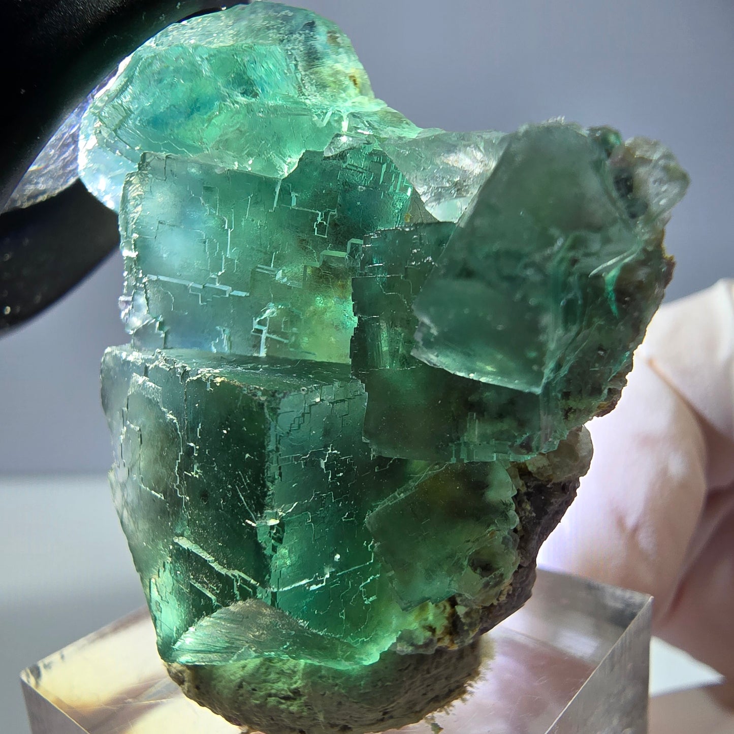 Spécimen de cube de fluorite fantôme, vert parqueté Okorusu, Namibie 39*31*16 mm