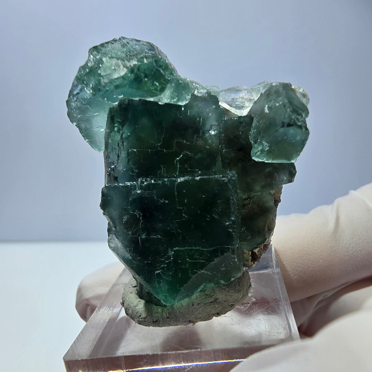 Spécimen de cube de fluorite fantôme, vert parqueté Okorusu, Namibie 39*31*16 mm